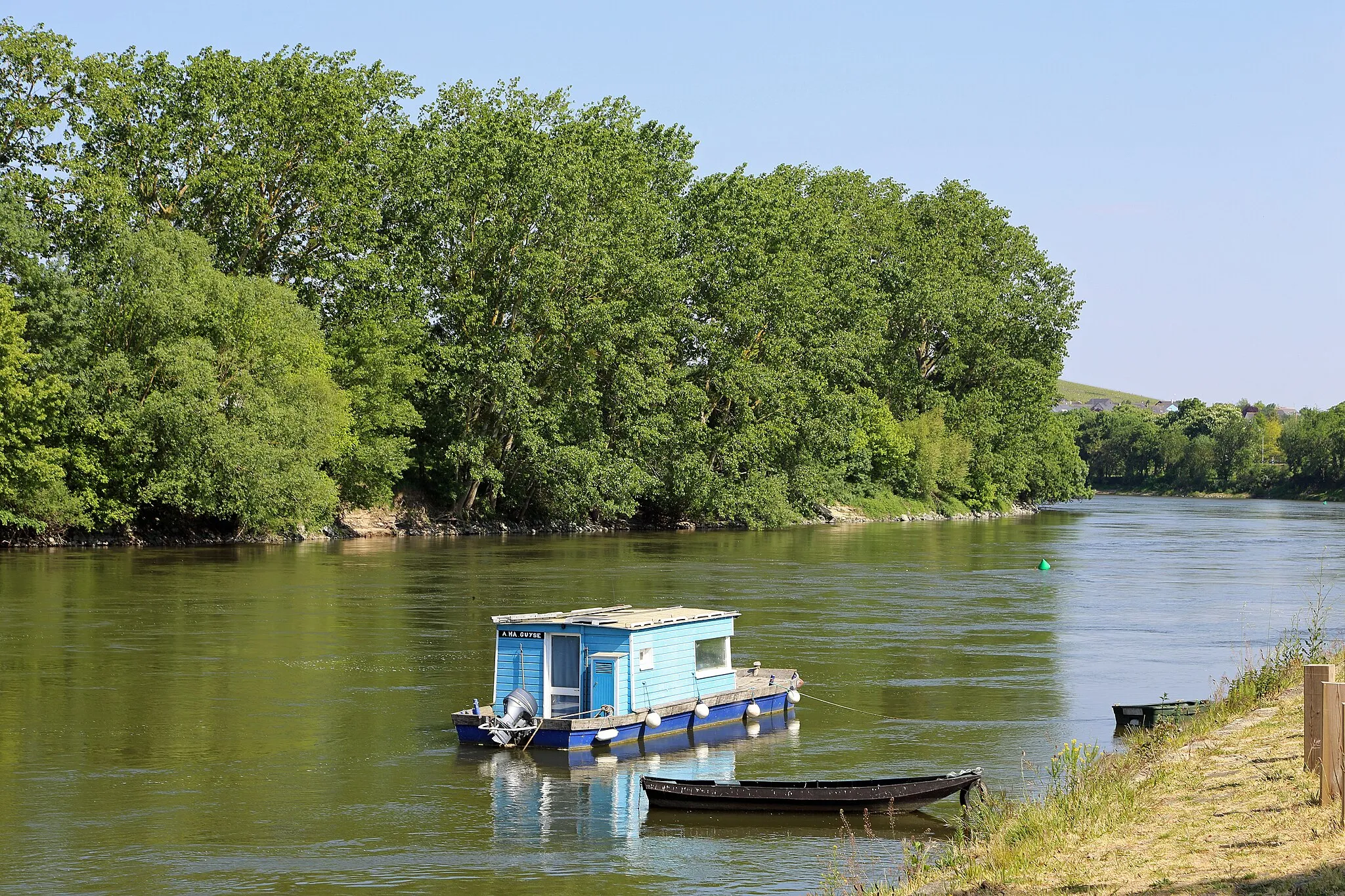 Photo showing: The Loire river at Chalonnes-sur-Loire (département Maine-et-Loire, France)