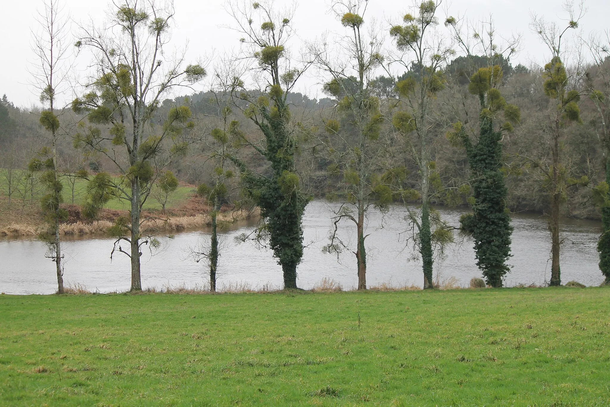 Photo showing: Extrémité nord de l'étang de Pen Mur, à Muzillac (Morbihan), près de la chapelle du Moustéro.