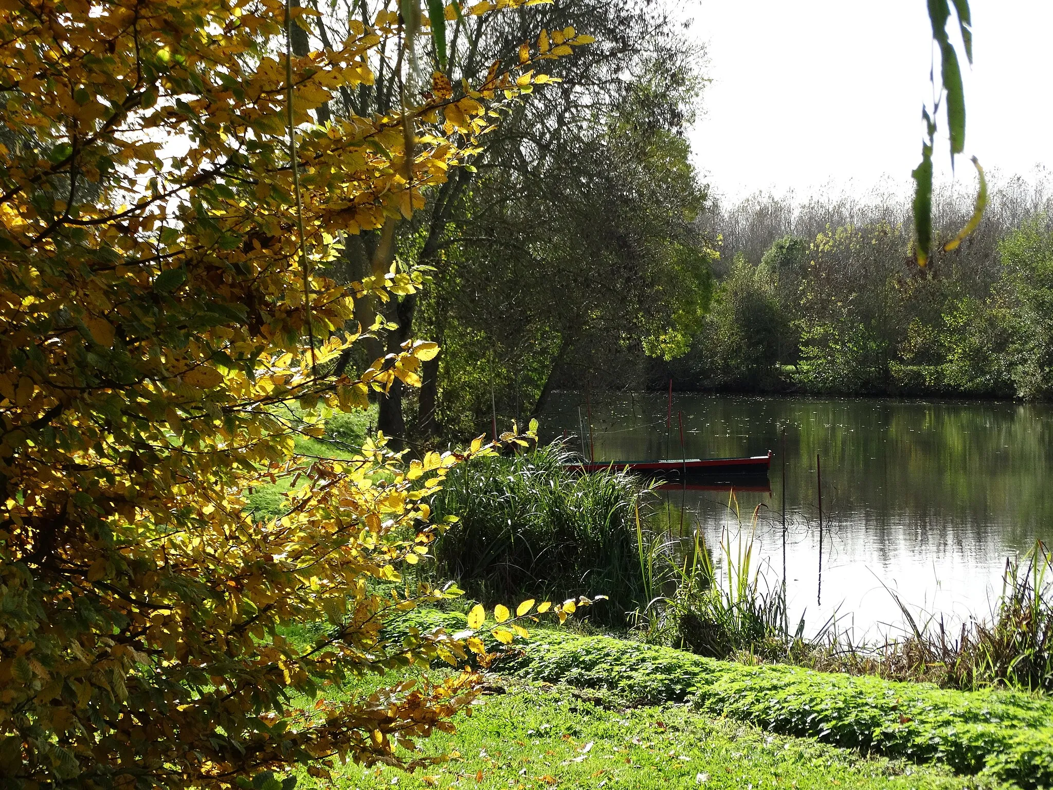 Photo showing: Bord de la rivière du Loir en automne à Seiches-sur-le-Loir (Maine-et-Loire, France).