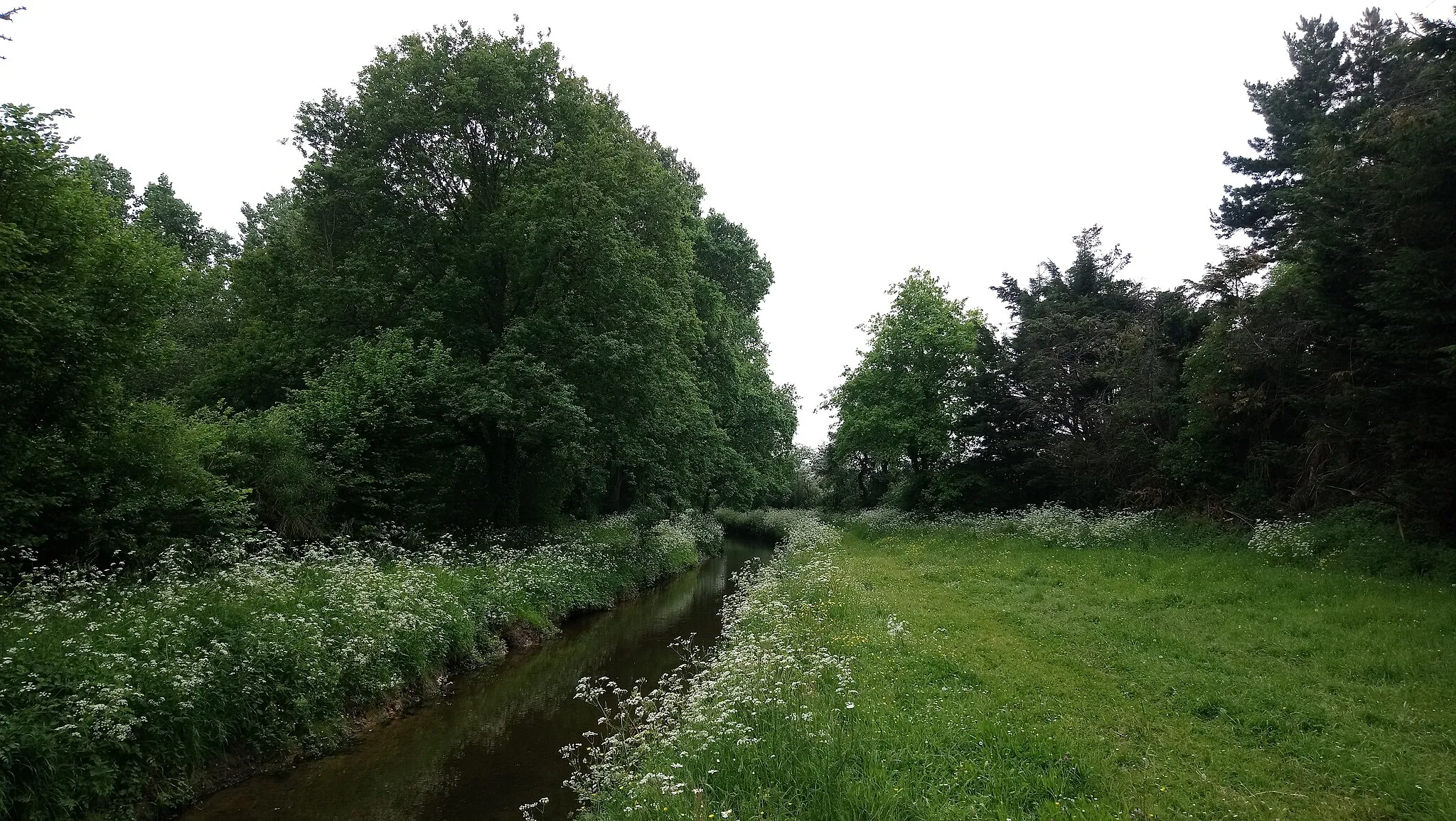 Photo showing: Étang de la Provostière, canal alimentaire, Fr-44-Riaillé