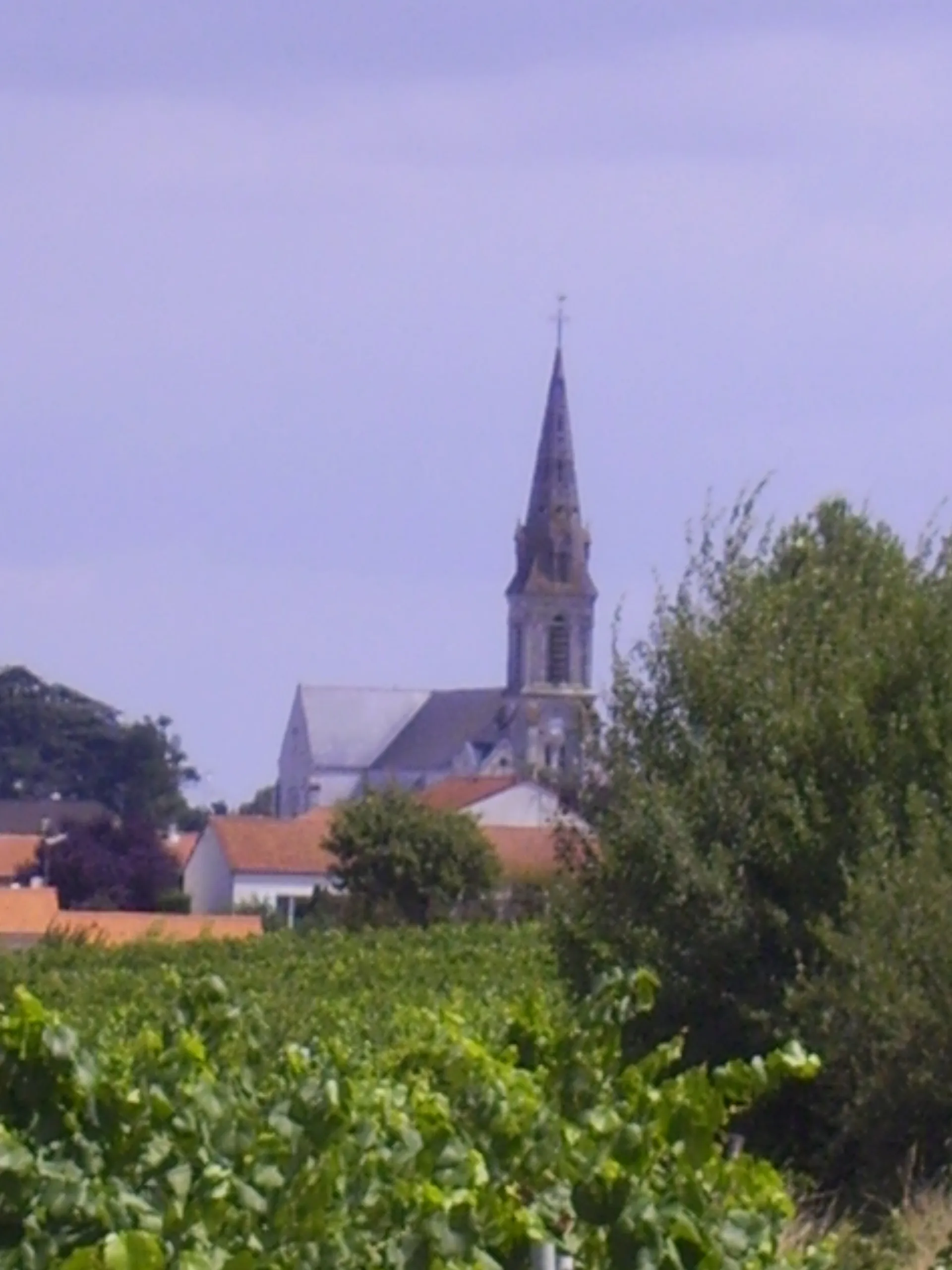 Photo showing: Bouzillé