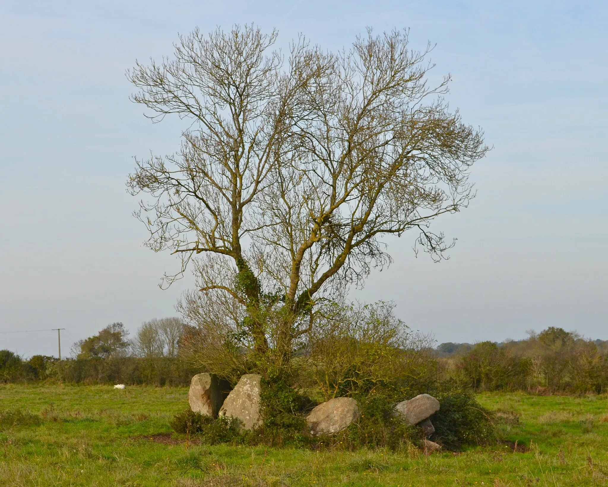 Photo showing: Dolmen de La Salle des Fées - Sainte-Pazanne (Loire-Atlantique)