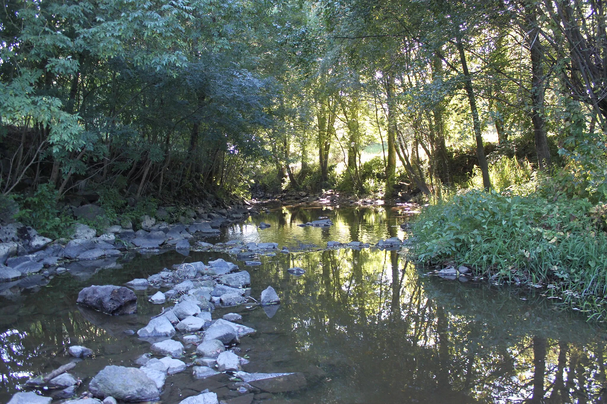 Photo showing: La Sanguèze, Fr-44-Mouzillon.