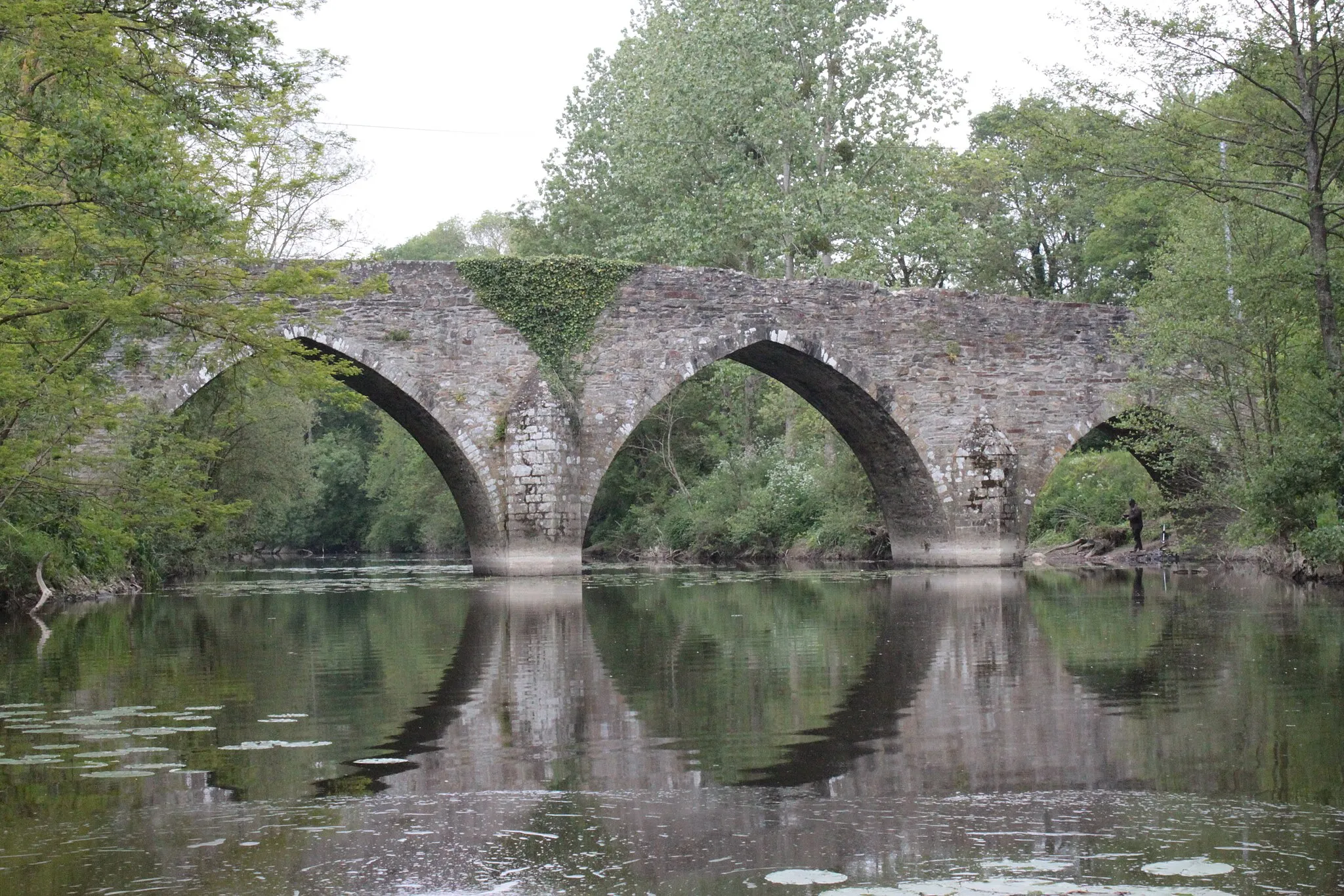 Photo showing: Pont de Sénard. Fr-85-Saint-Hilaire-de-Loulay.