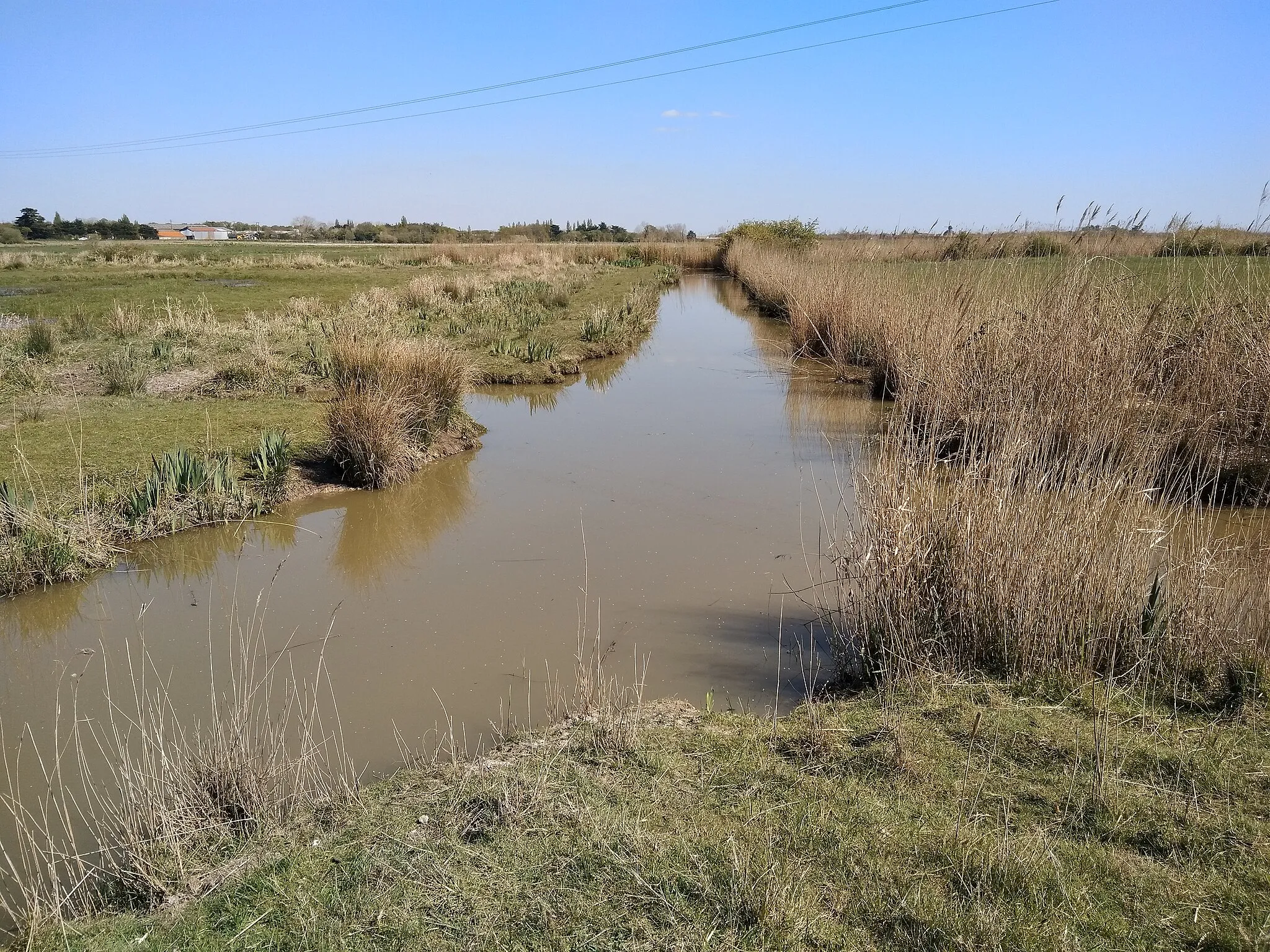 Photo showing: An étier (channel for salt marshes) in Sallertaine, Vendée, France.