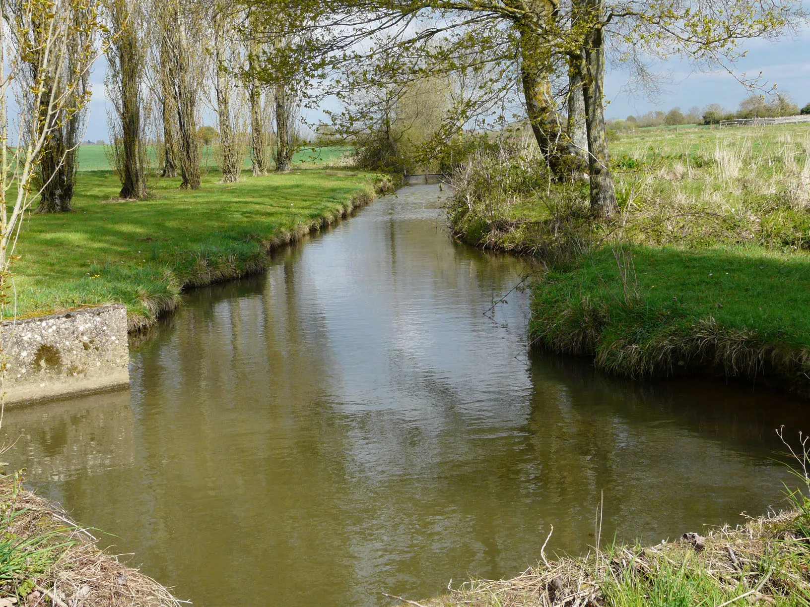 Photo showing: Le ruisseau Le Beusse sur la commune de Mésanger (44)