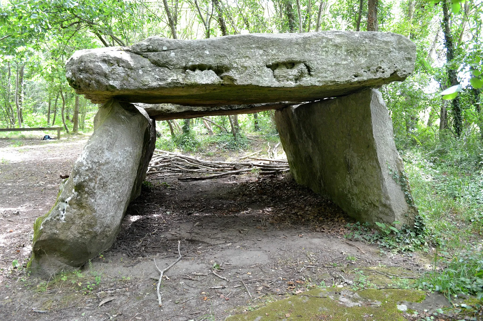 Photo showing: Pierre Couverte du Moulin de Piau à Chemellier (49).