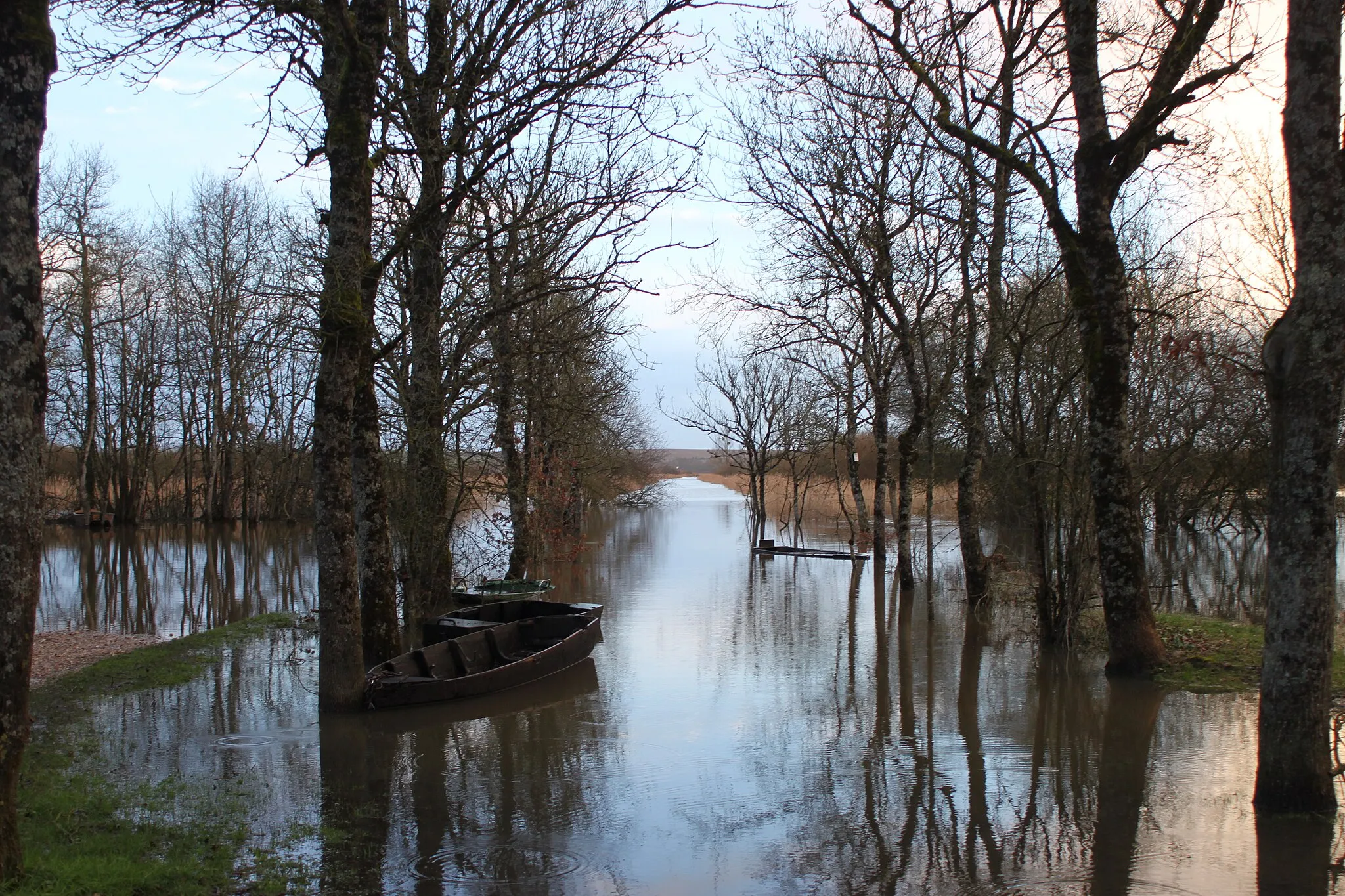 Photo showing: Le port du Montru noyé sous la crue (février 2014) du marais de Goulaine, Fr-44-la Chapelle-Heulin.