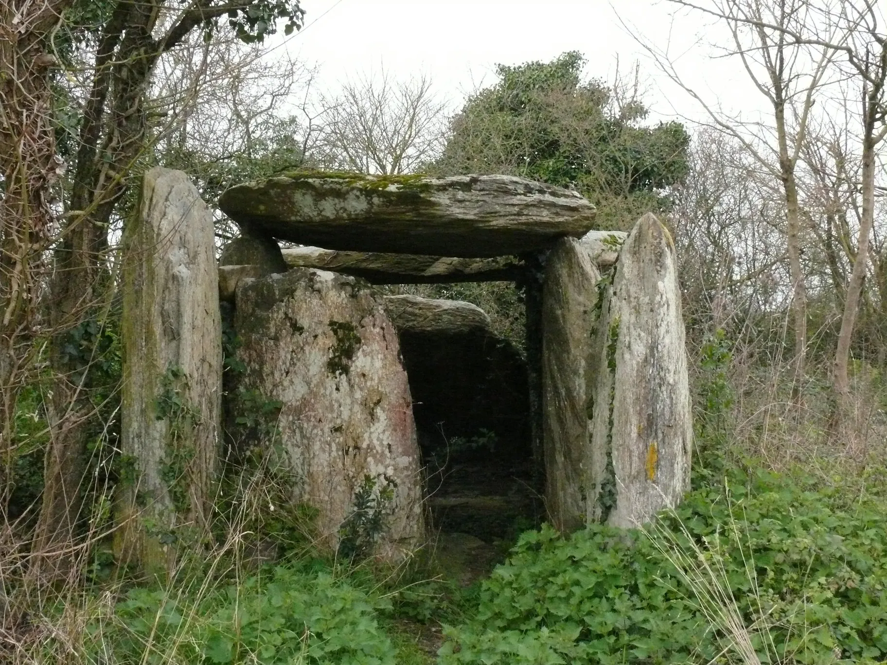 Photo showing: Fessine's dolmen in La Meignanne (Maine-et-Loire, Pays de la Loire, France).
