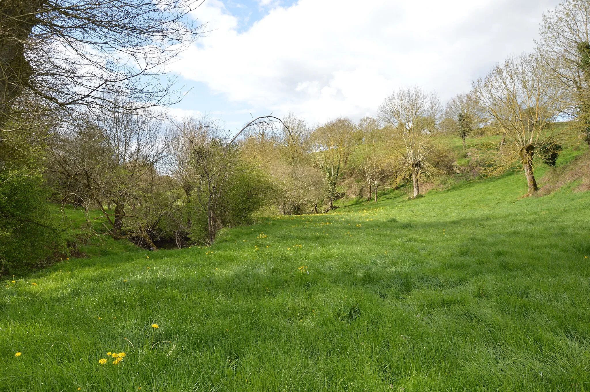 Photo showing: La Vallée de la Divatte à La Boissière du Doré au printemps (France 44)