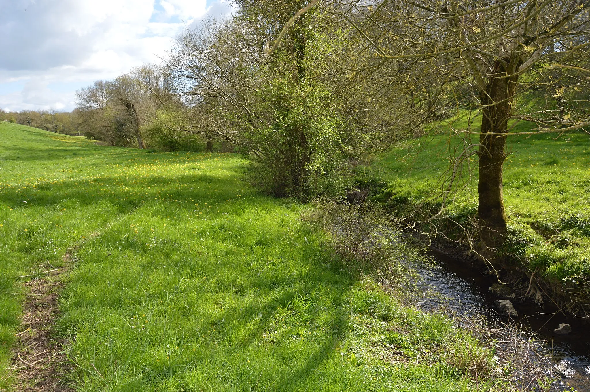 Photo showing: La Vallée de la Divatte à La Boissière du Doré au printemps (France 44)