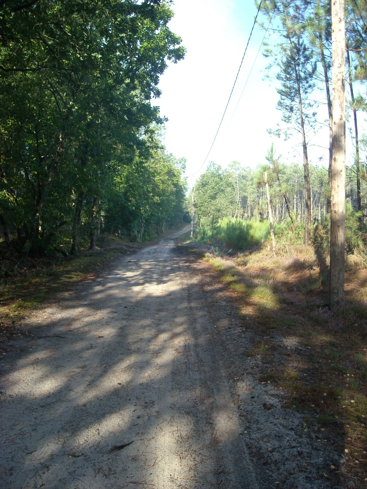 Photo showing: Le chemin du moulin de Fresne à Challes