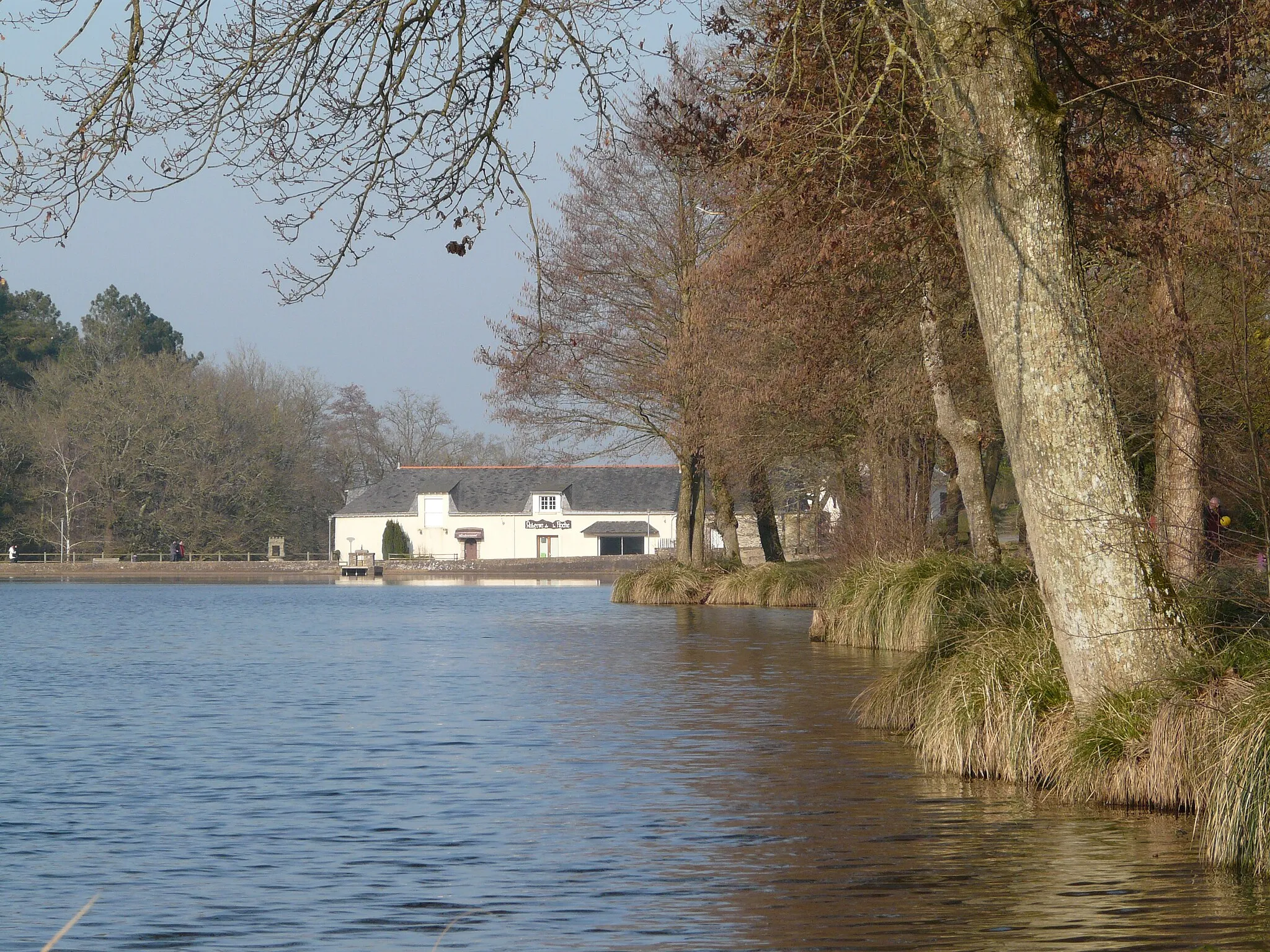 Photo showing: L'auberge de la Roche vue de la berge sud de l'étang.