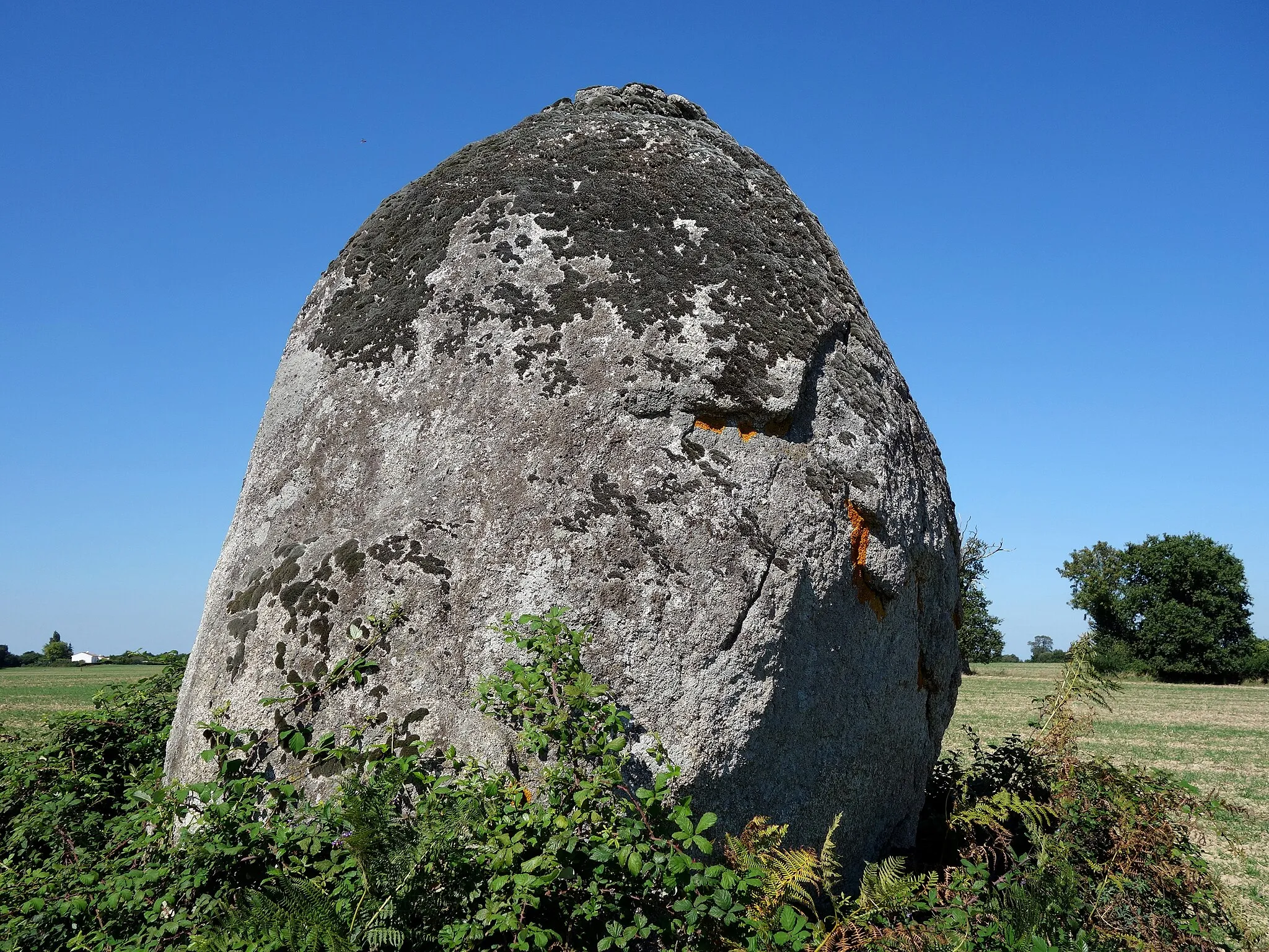 Photo showing: L'immense « Menhir de Beaulieu » - nommé aussi « La Pièce du Rocher » - trône au milieu d'un vaste champ. 
Il mesure 9 mètres de circonférence et 4,30 m de haut : un véritable monstre qui frappe les esprits !