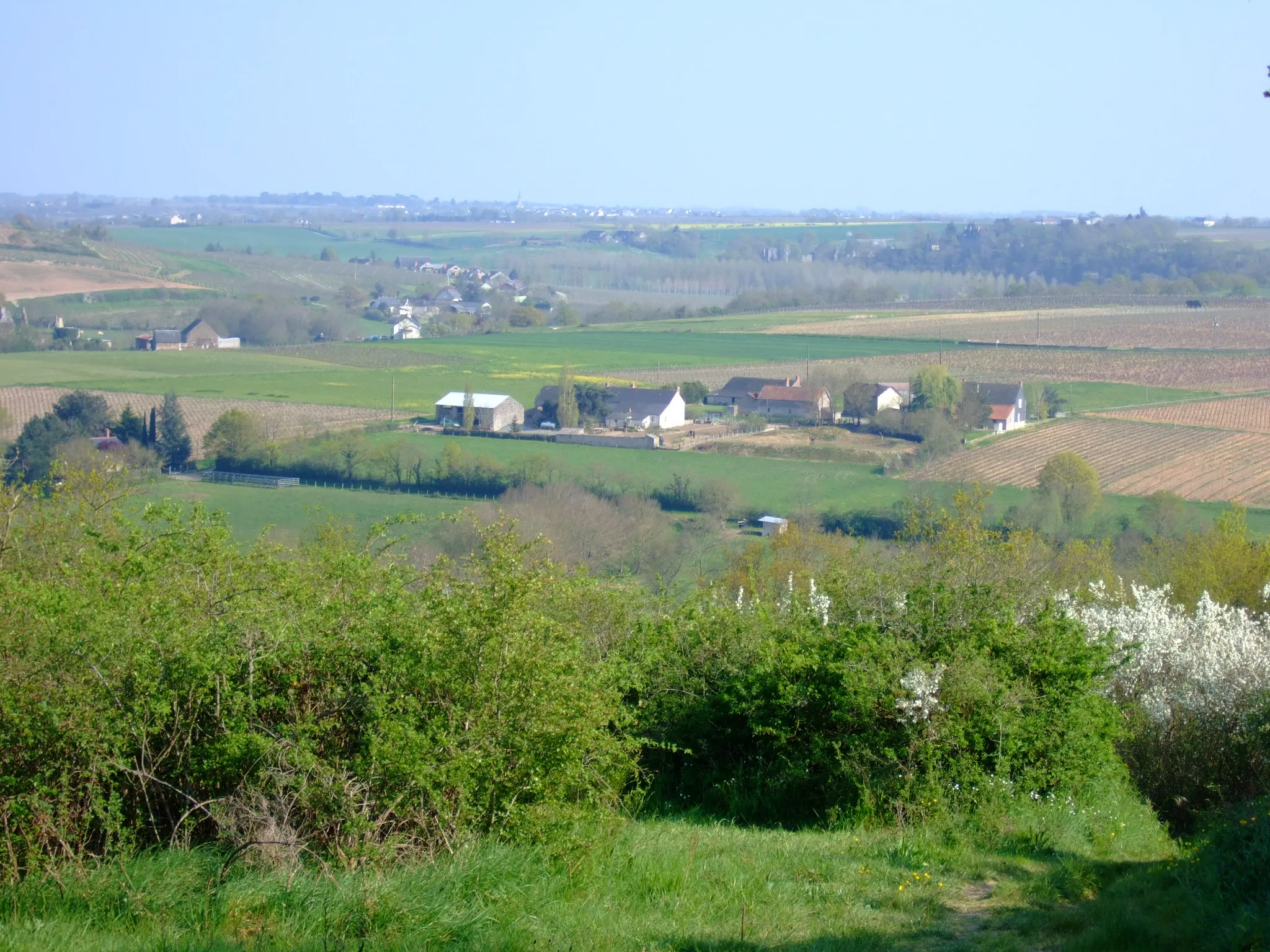 Photo showing: La vallée du Layon depuis le sentier de randonnée entre Ardenay et La Haie Longue