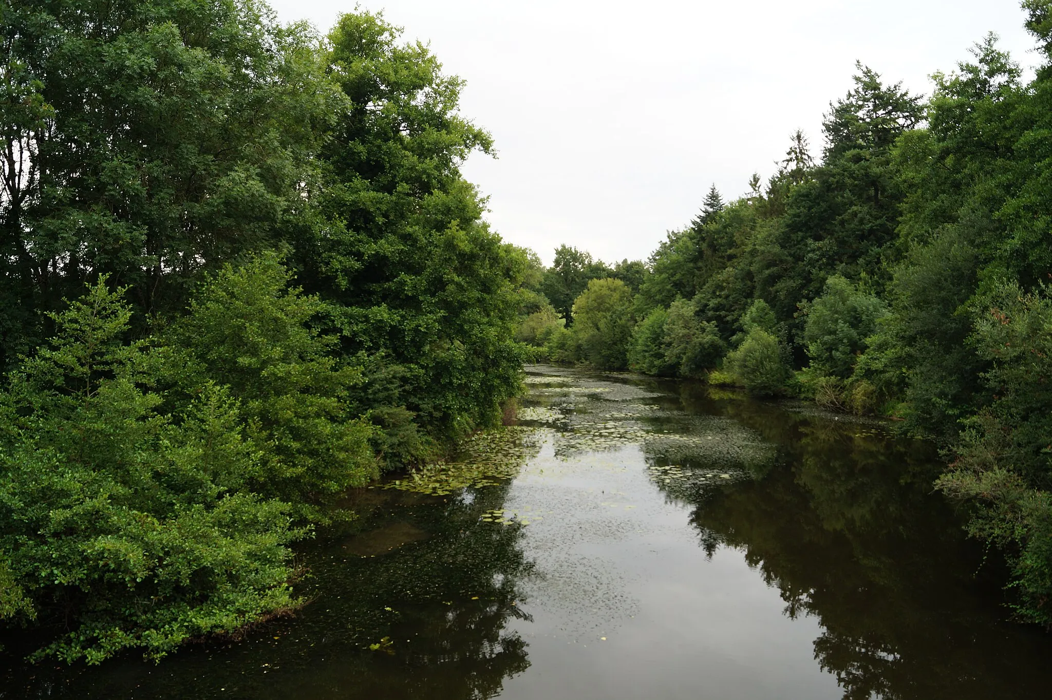 Photo showing: L’Yon depuis le pont de Chaillé.