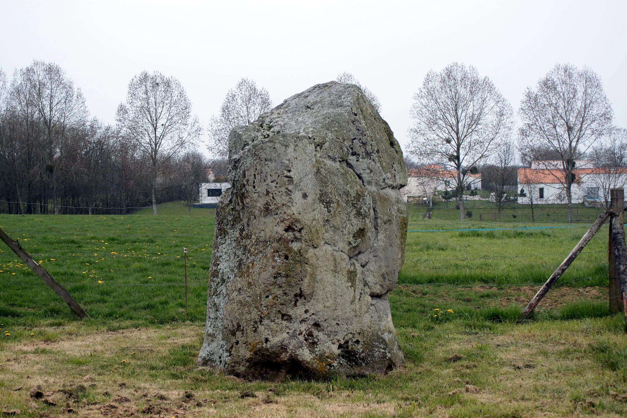 Photo showing: Menhir de la Petite Roche, Fr-85-Saint-André-Treize-Voies.