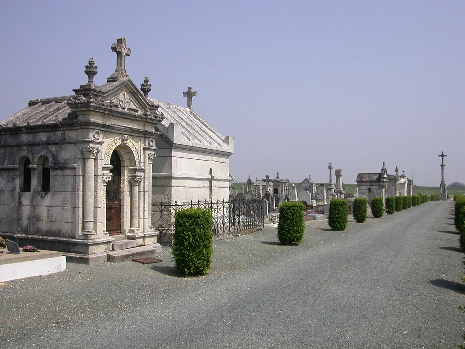 Photo showing: Allée du cimetière de Luçon