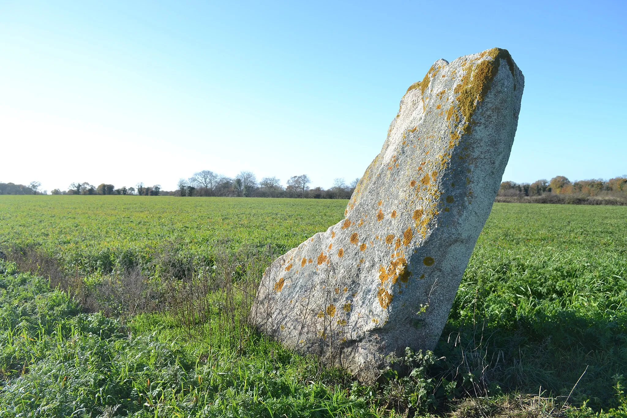 Photo showing: Menhir de la Grande Bernerie à Saint-Hilaire-de-loulay (85).