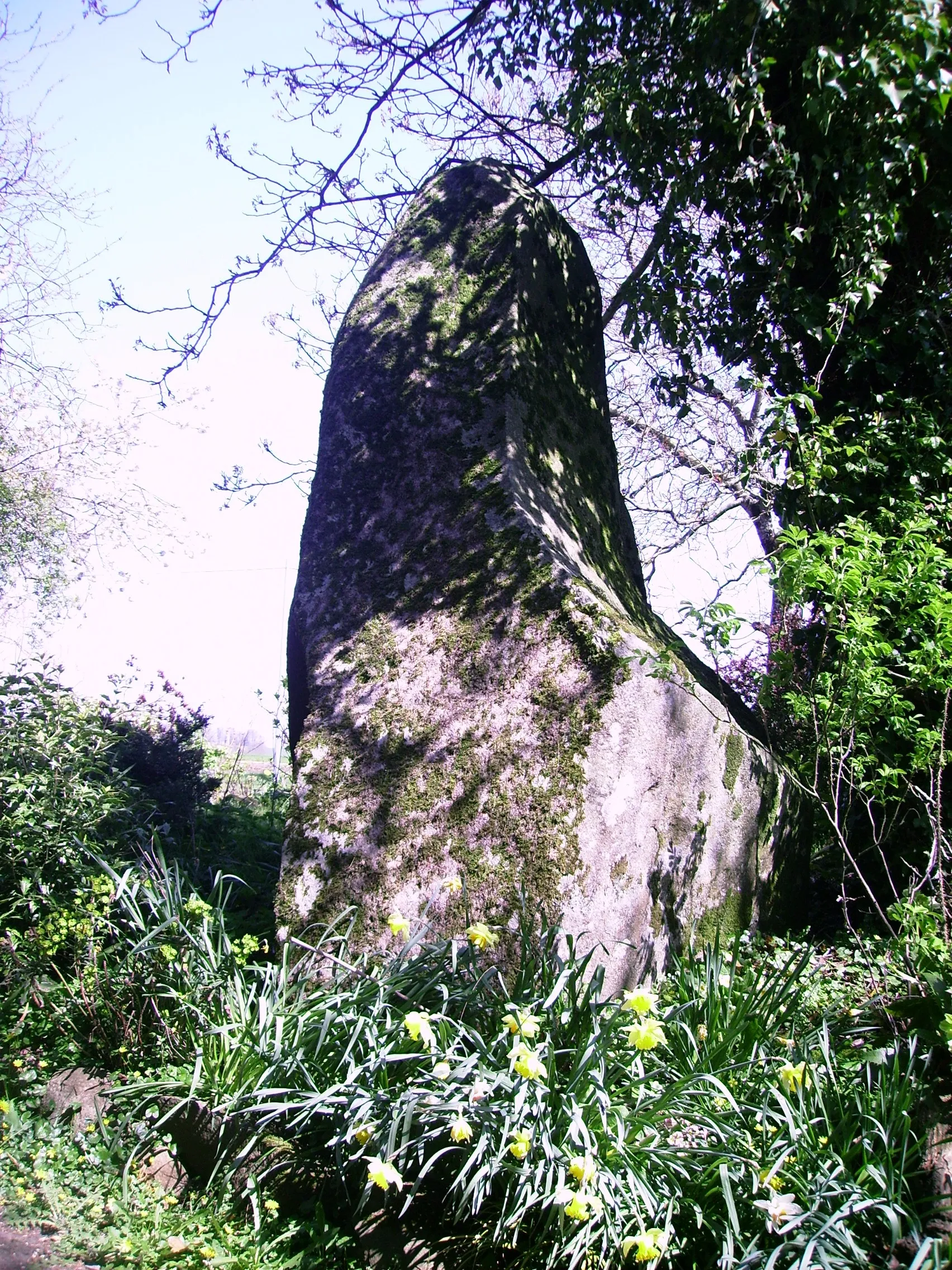 Photo showing: Menhir du perron