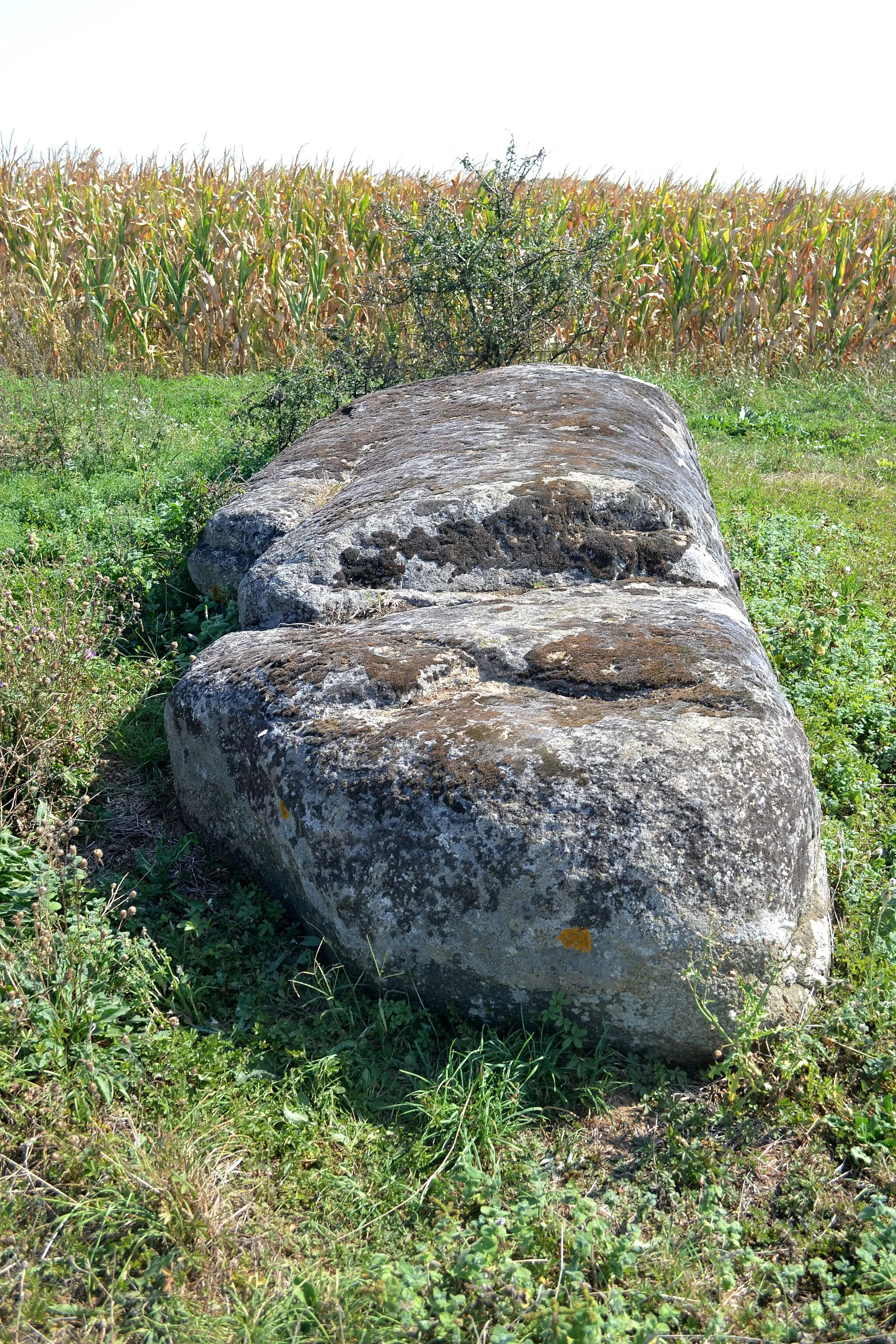 Photo showing: Menhir de la Pierre Couchée à Saint-Benoist-sur-Mer (85).