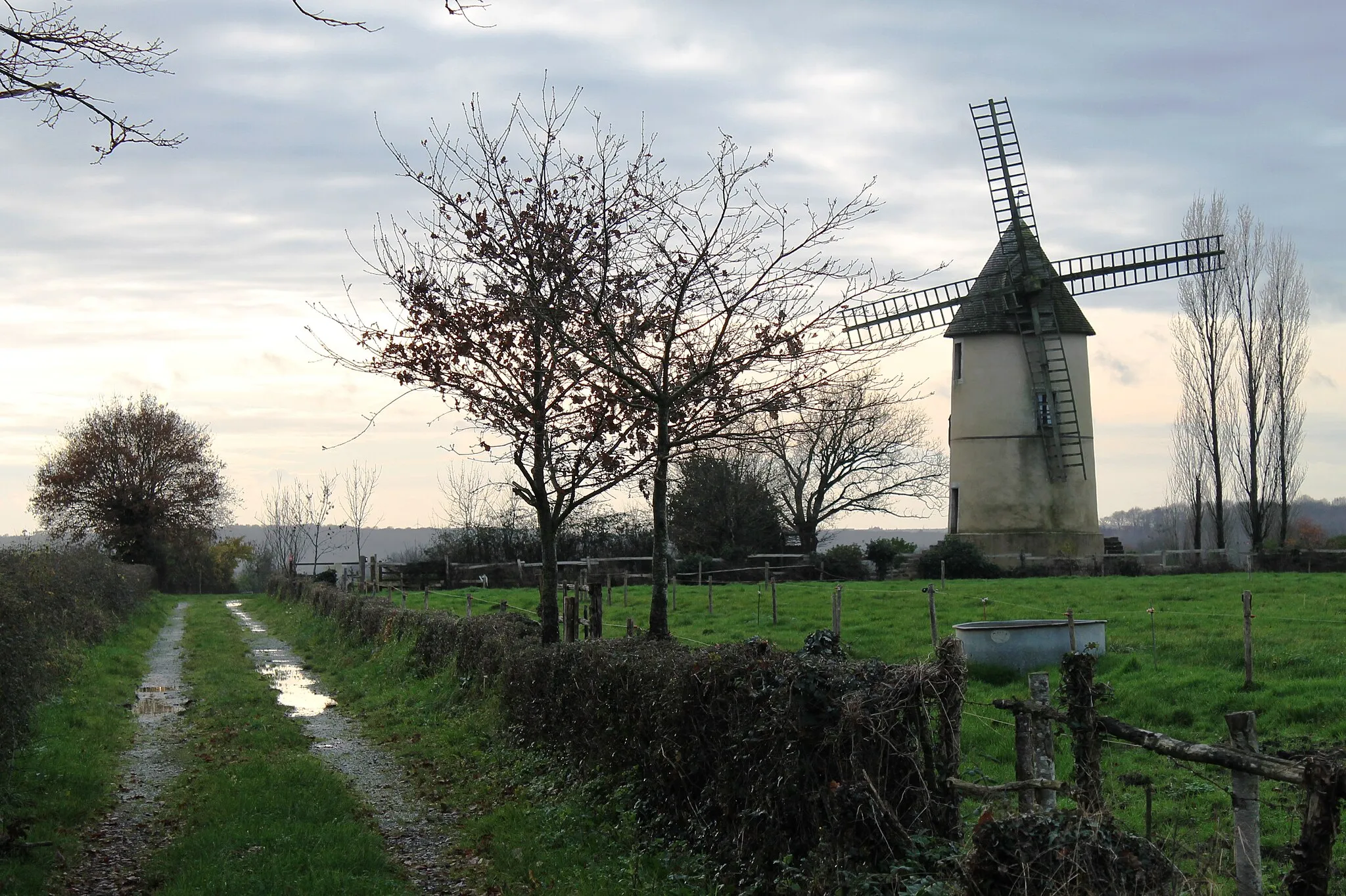 Photo showing: Moulin à vent de Saint-Cyr-des-Gâts