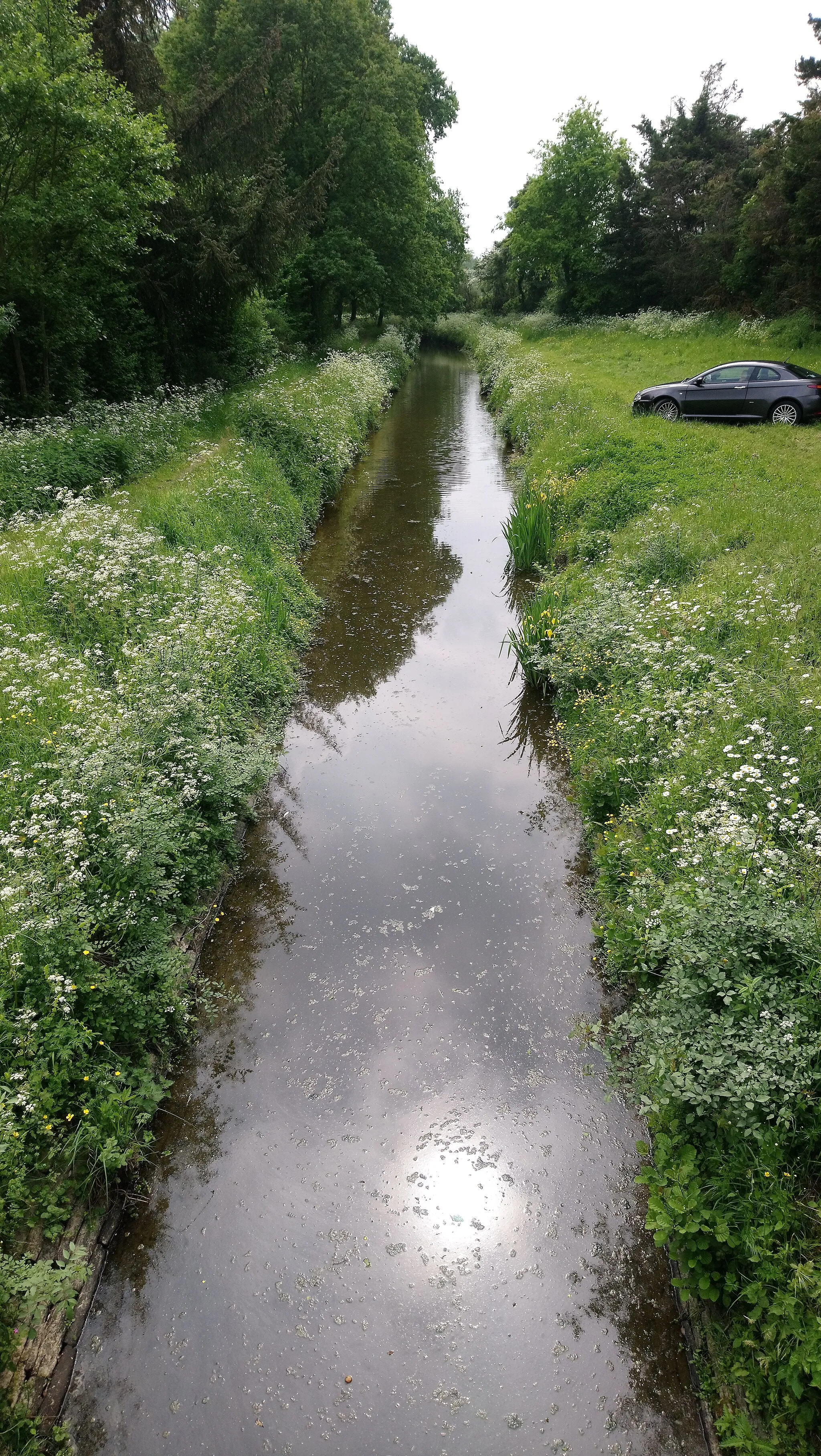 Photo showing: Étang de la Provostière, canal alimentaire, Fr-44-Riaillé