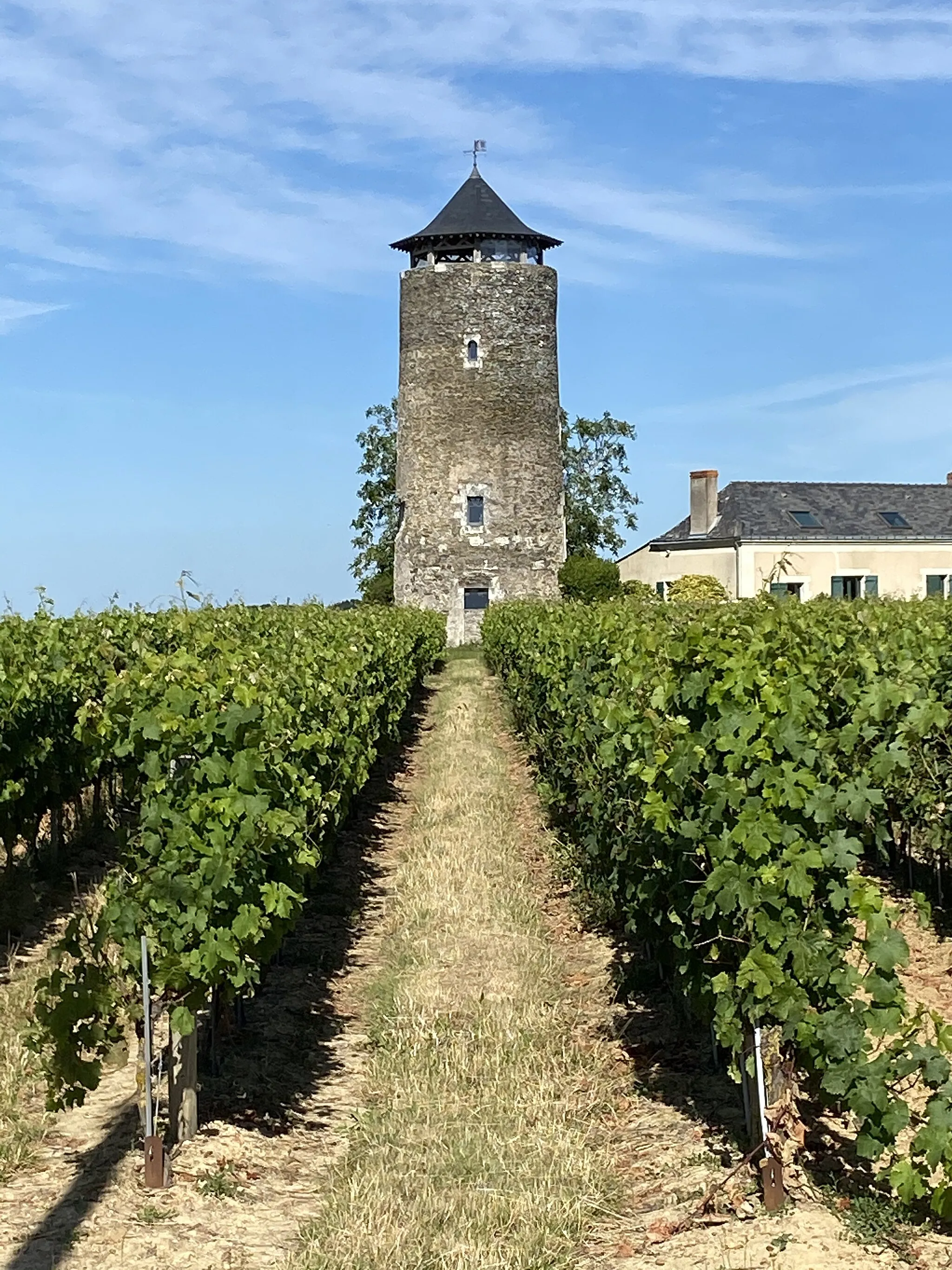 Photo showing: Vauchrétien tour d’observation de La Légère