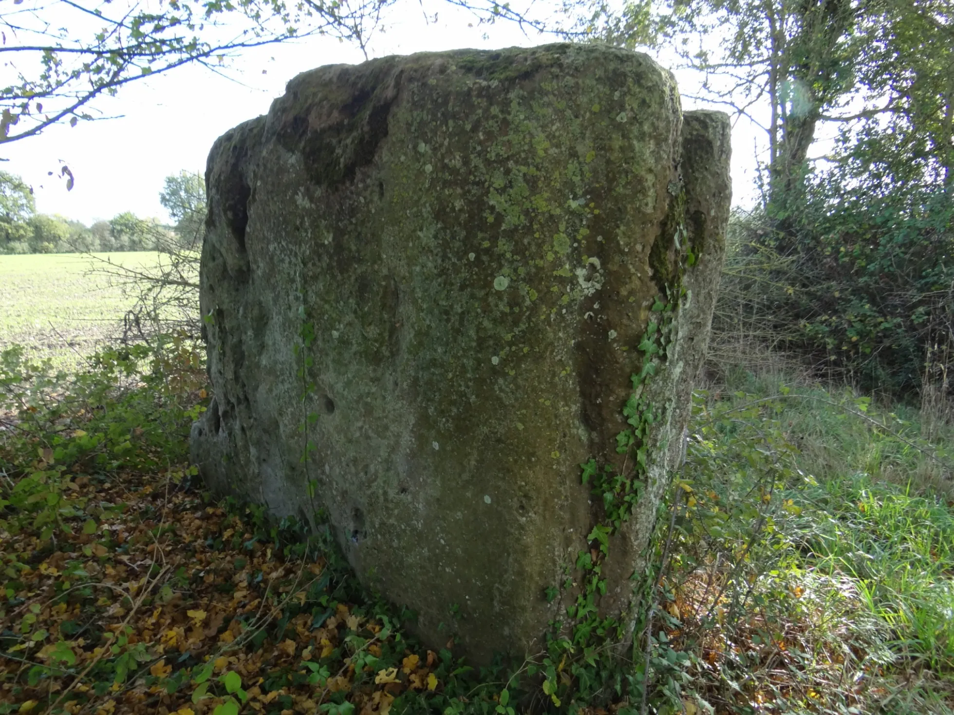 Photo showing: Mégalithe de La Garnache (Vendée) dit "Pierre du Diable."