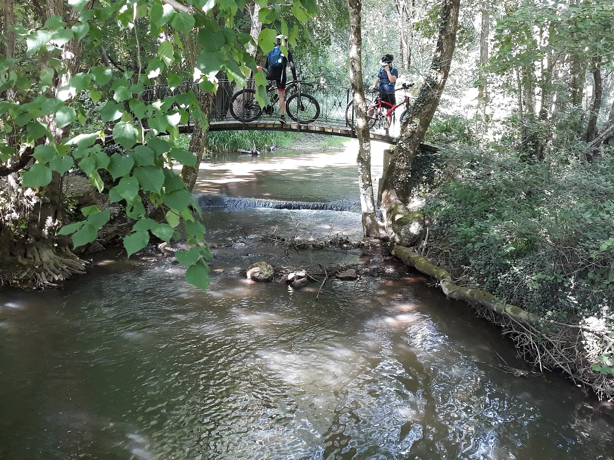 Photo showing: rivière le Couëtron