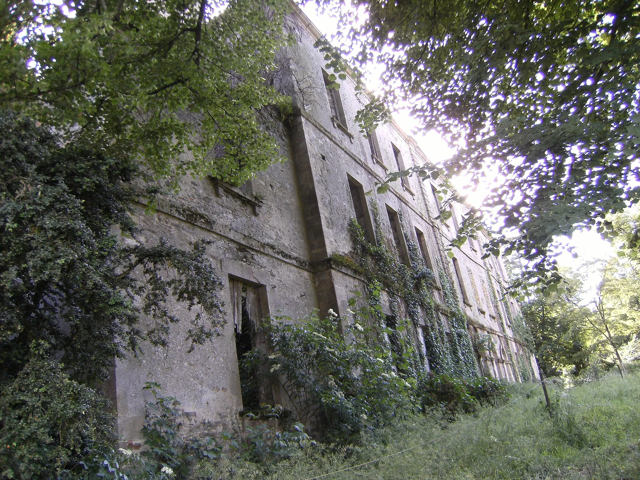 Photo showing: castle of Parc-Soubise ; Mouchamps (Vendée)