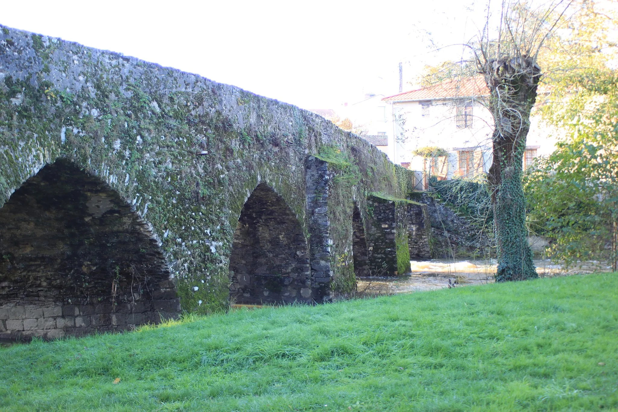 Photo showing: Pont de Bohardy, Fr-49-Montrevault.