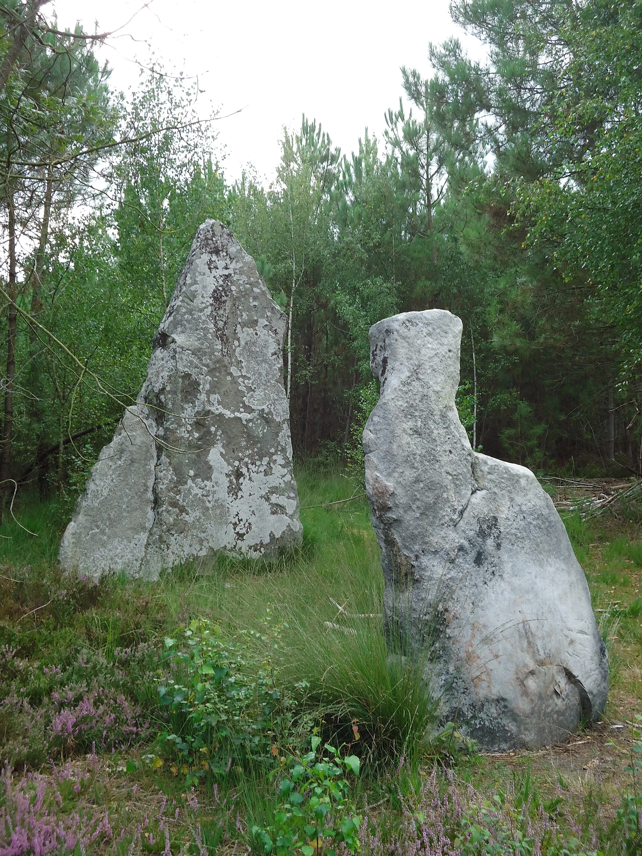 Photo showing: Menhirs de la Mère et la Fille - Saint-Jean-de-la-Motte - Sarthe (72)