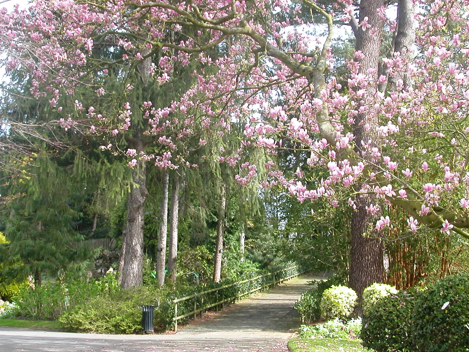 Photo showing: The "mountain" of the Jardin des plantes in Nantes