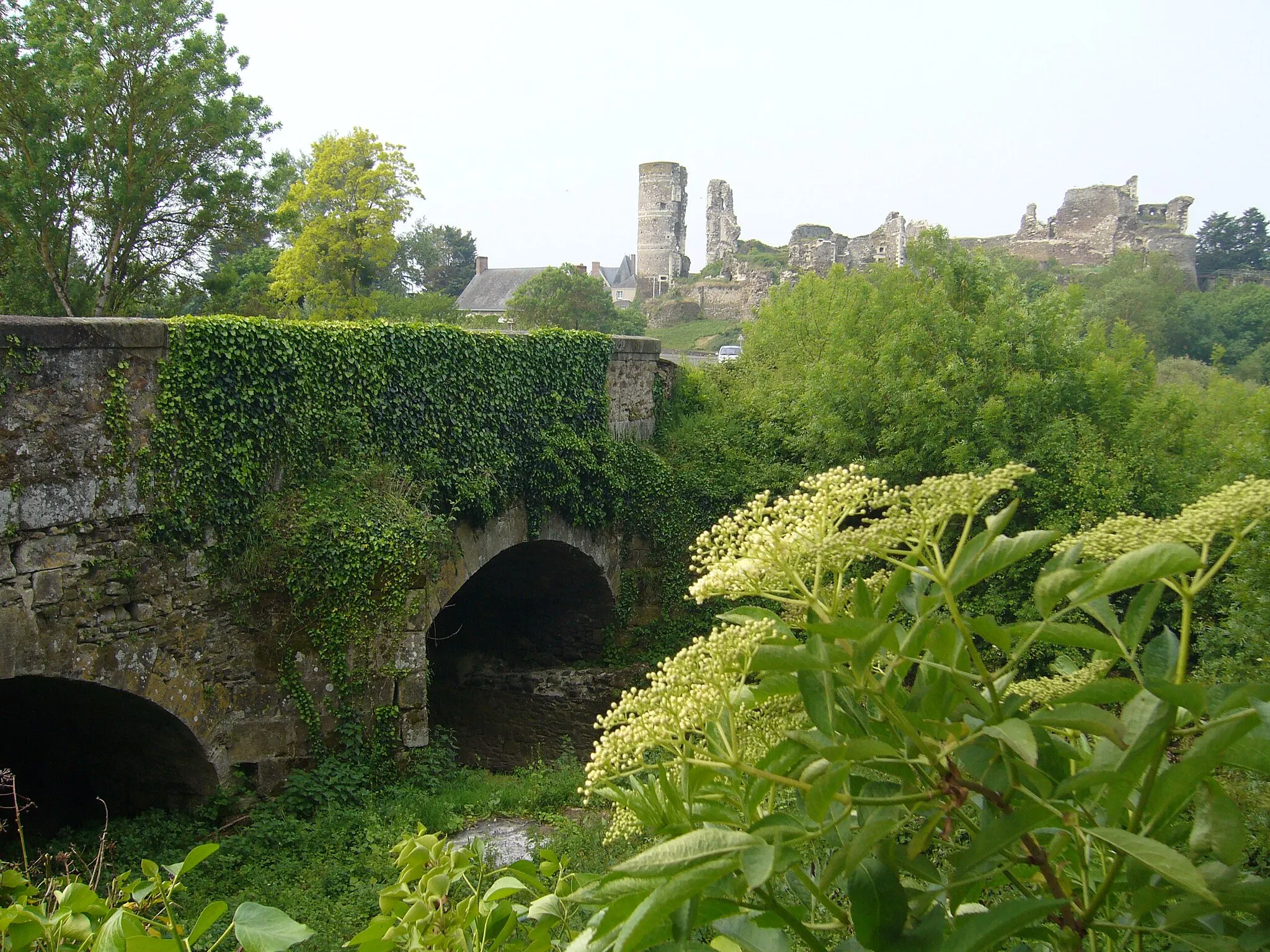 Photo showing: Pont enjambant la rivière Romme devant le château de Champtocé en Anjou.