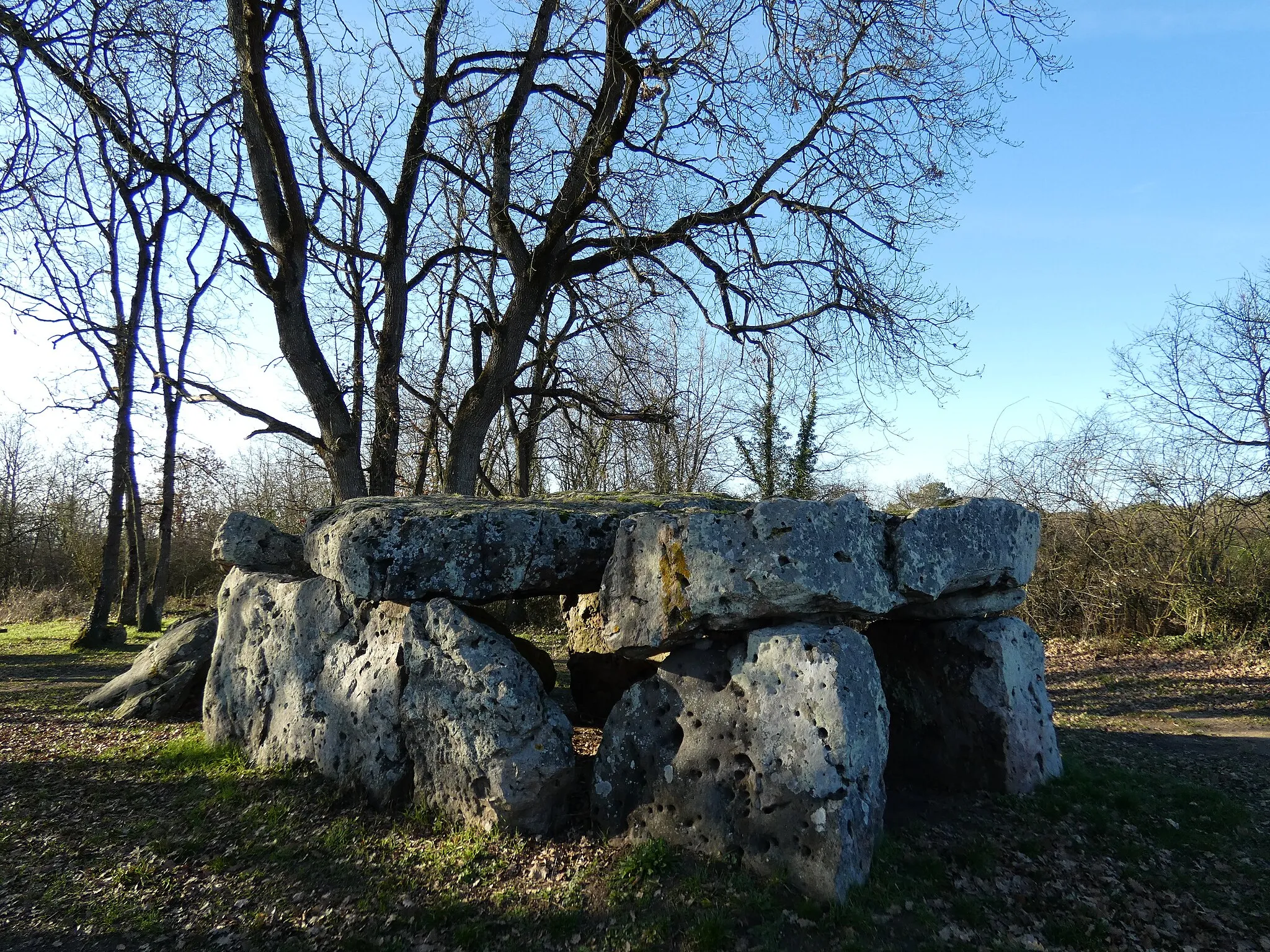 Photo showing: Dolmen la Pierre Couverte de Corbeau à Louresse-Rochemenier (Maine-et-Loire, France). Vue de profil.