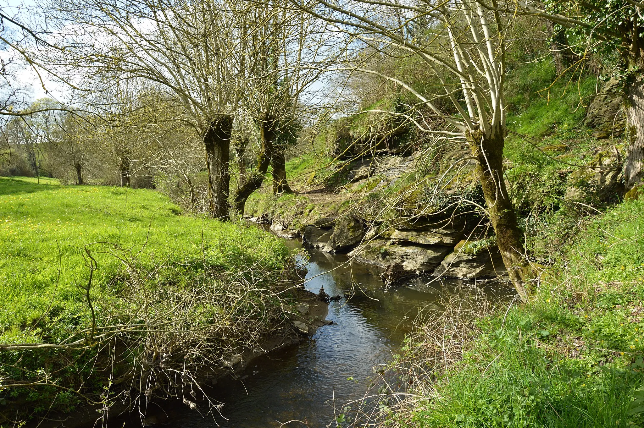 Photo showing: La Vallée de la Divatte à La Boissière du Doré au printemps (France 44)