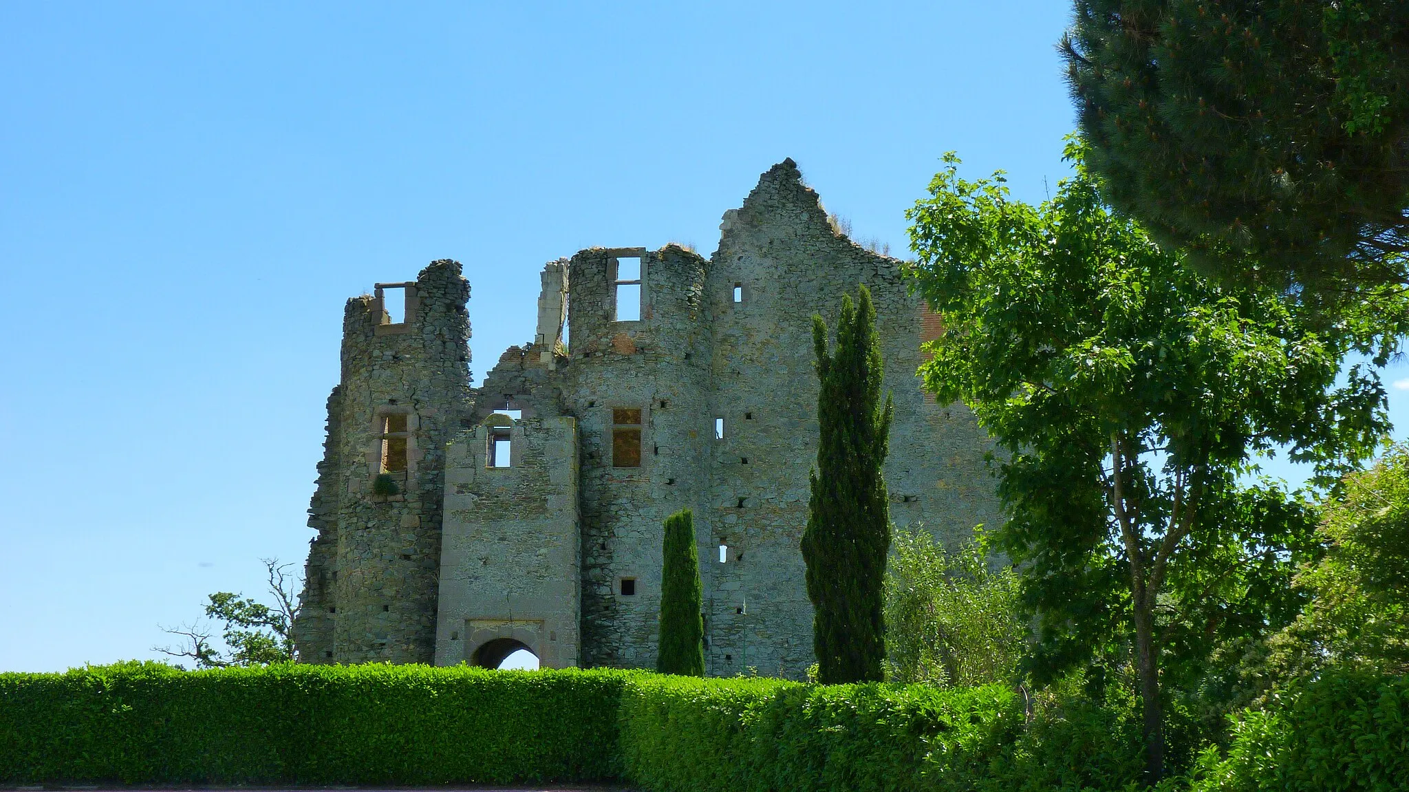 Photo showing: Vue des ruines du château des Hayes Gasselin (Andrezé, Maine-et-Loire, France) par la façade nord, situé en arrière-plan d'arbres et de haies.