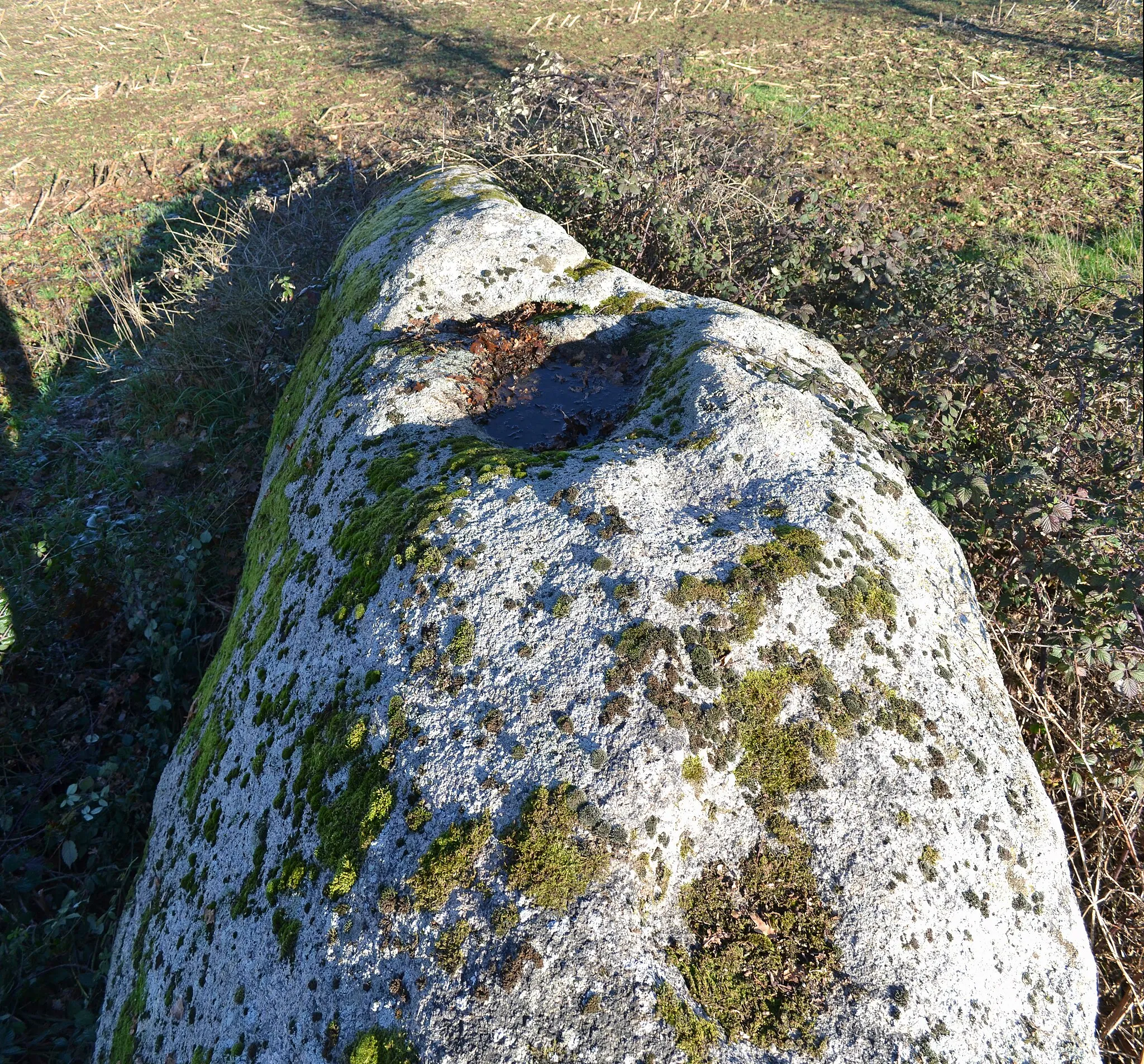 Photo showing: Menhir couché du moulin à vent de Normandeau, La Reandudière (49). Classé monument historique.