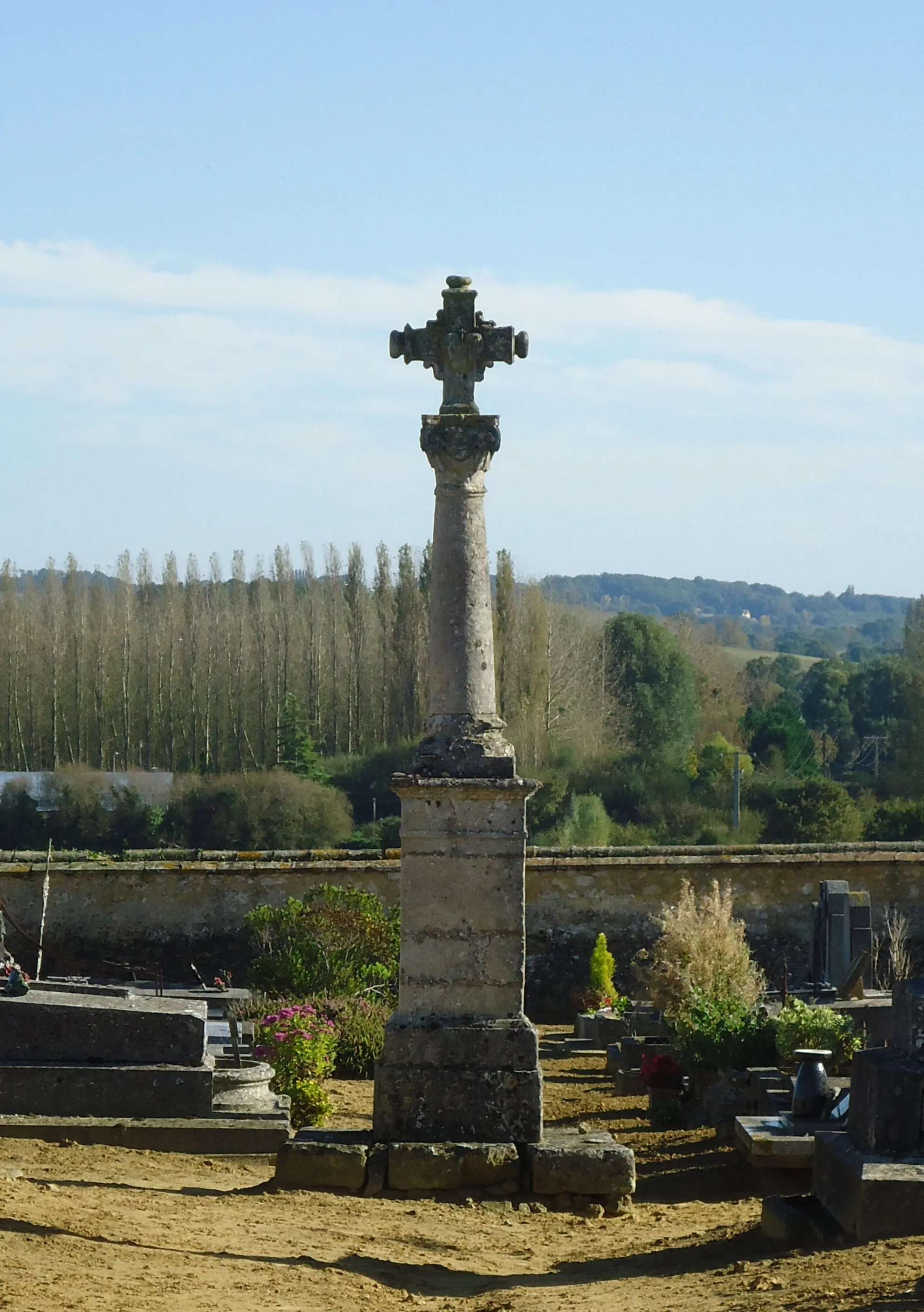 Photo showing: Croix monumentale du cimetière de Champaissant - Saint-Cosme-en-Vairais