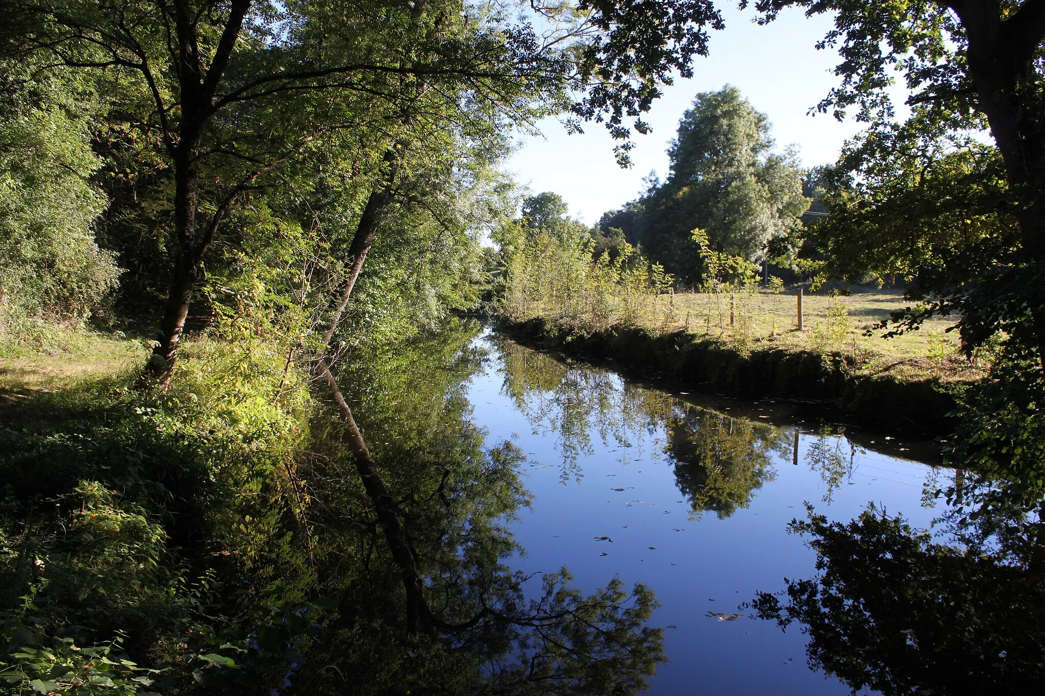 Photo showing: La Sanguèze, les Bois, Fr-44-Mouzillon.