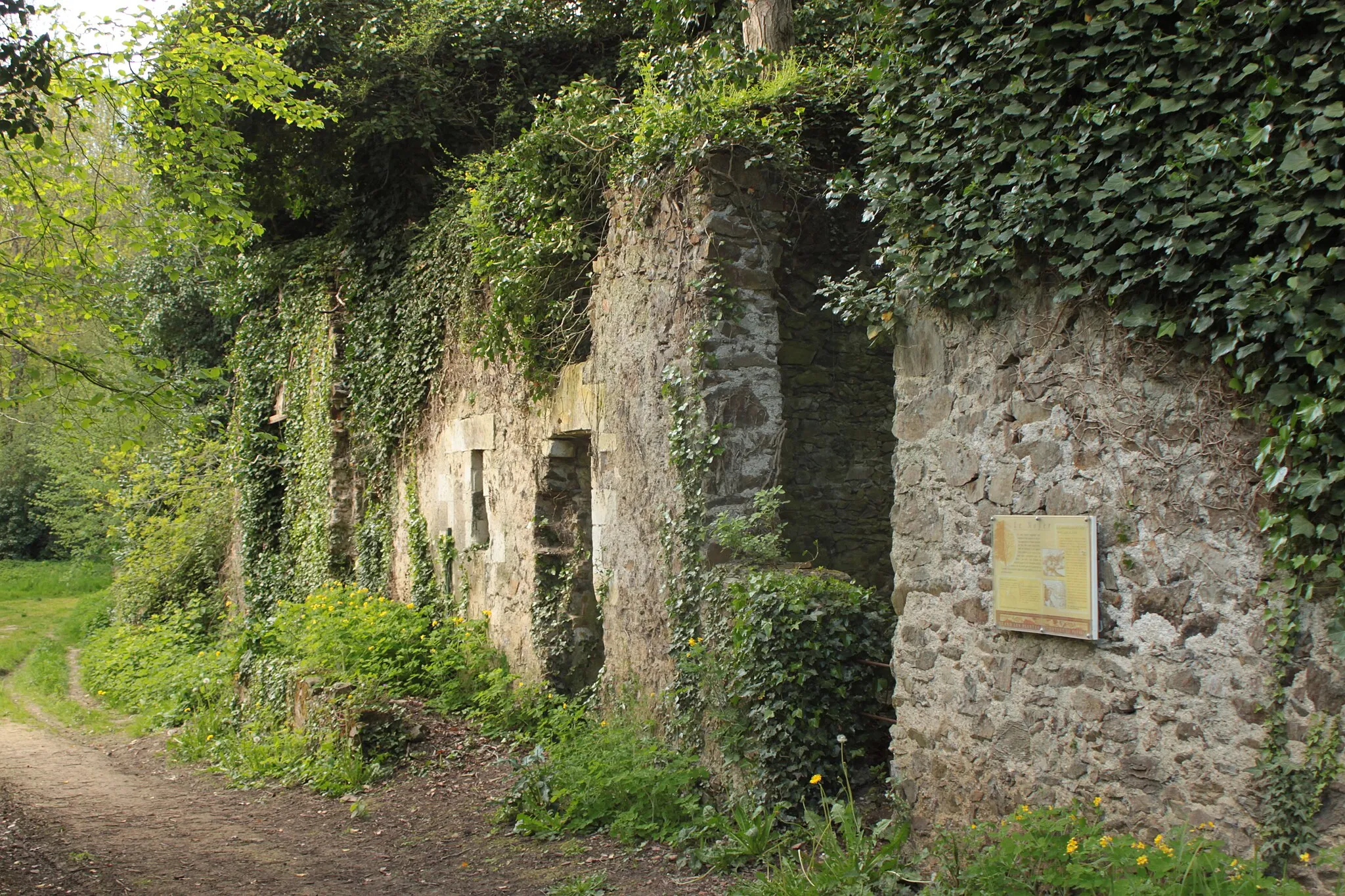 Photo showing: Ruines du village de Courossé, au bord de l'Èvre, Fr-49-La Chapelle-Saint-Florent.