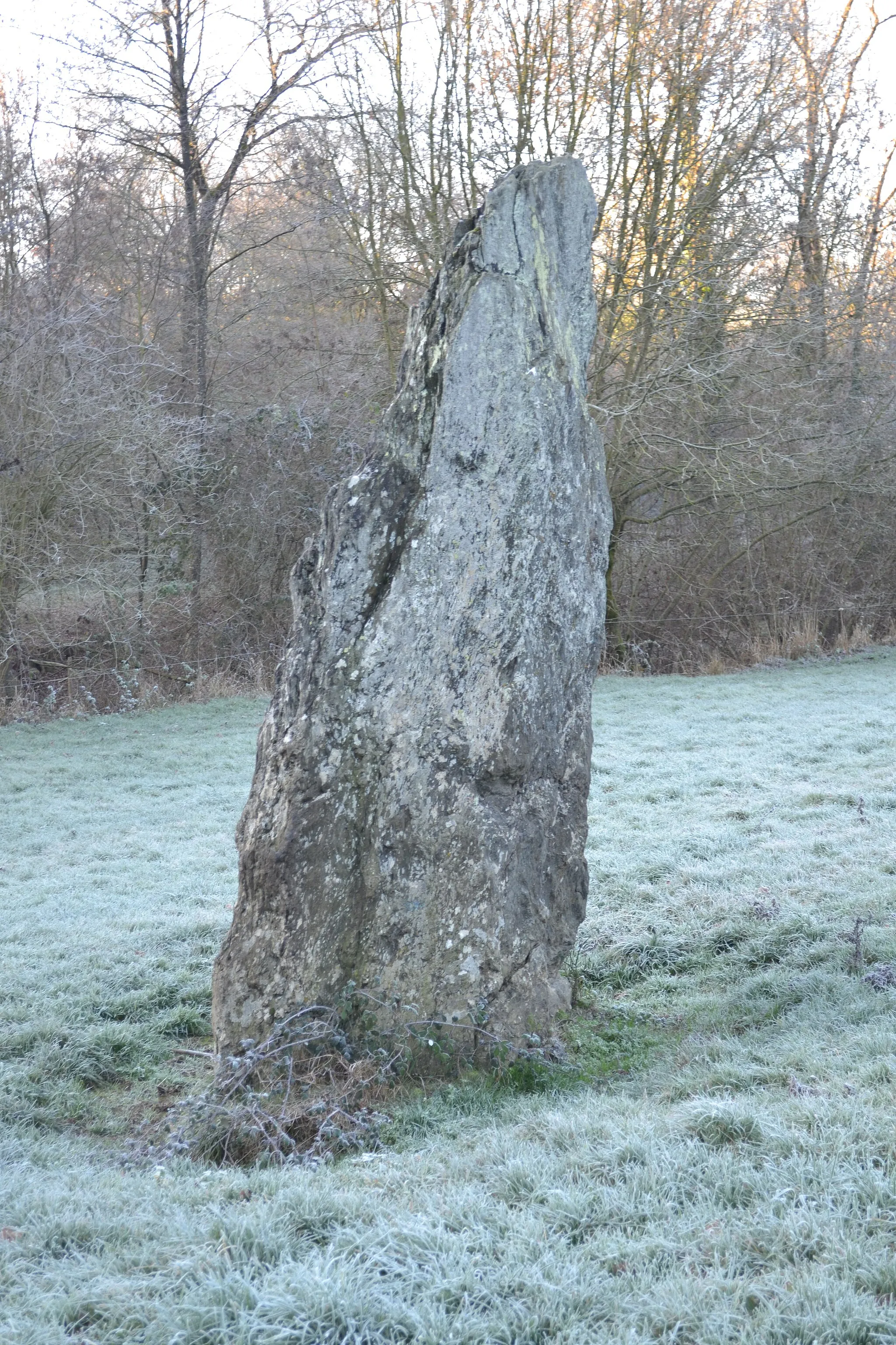 Photo showing: Menhir de Bréau, Le Fief-Sauvin (49).