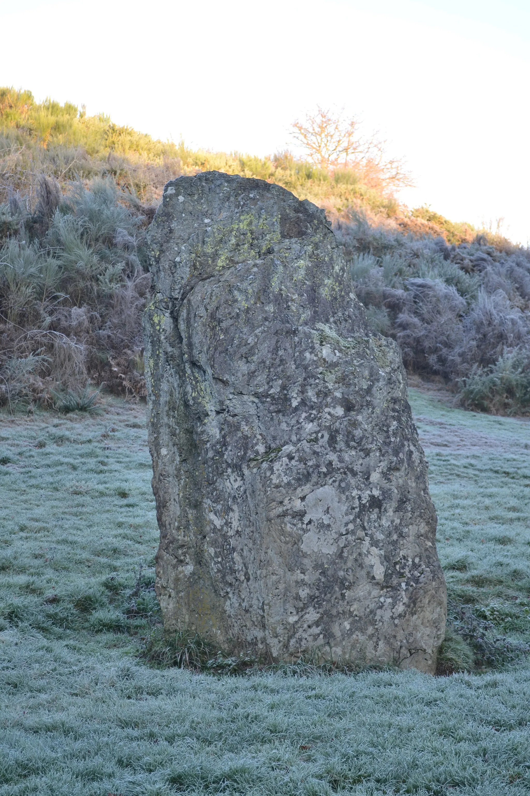 Photo showing: Menhir de Bréau, Le Fief-Sauvin (49).