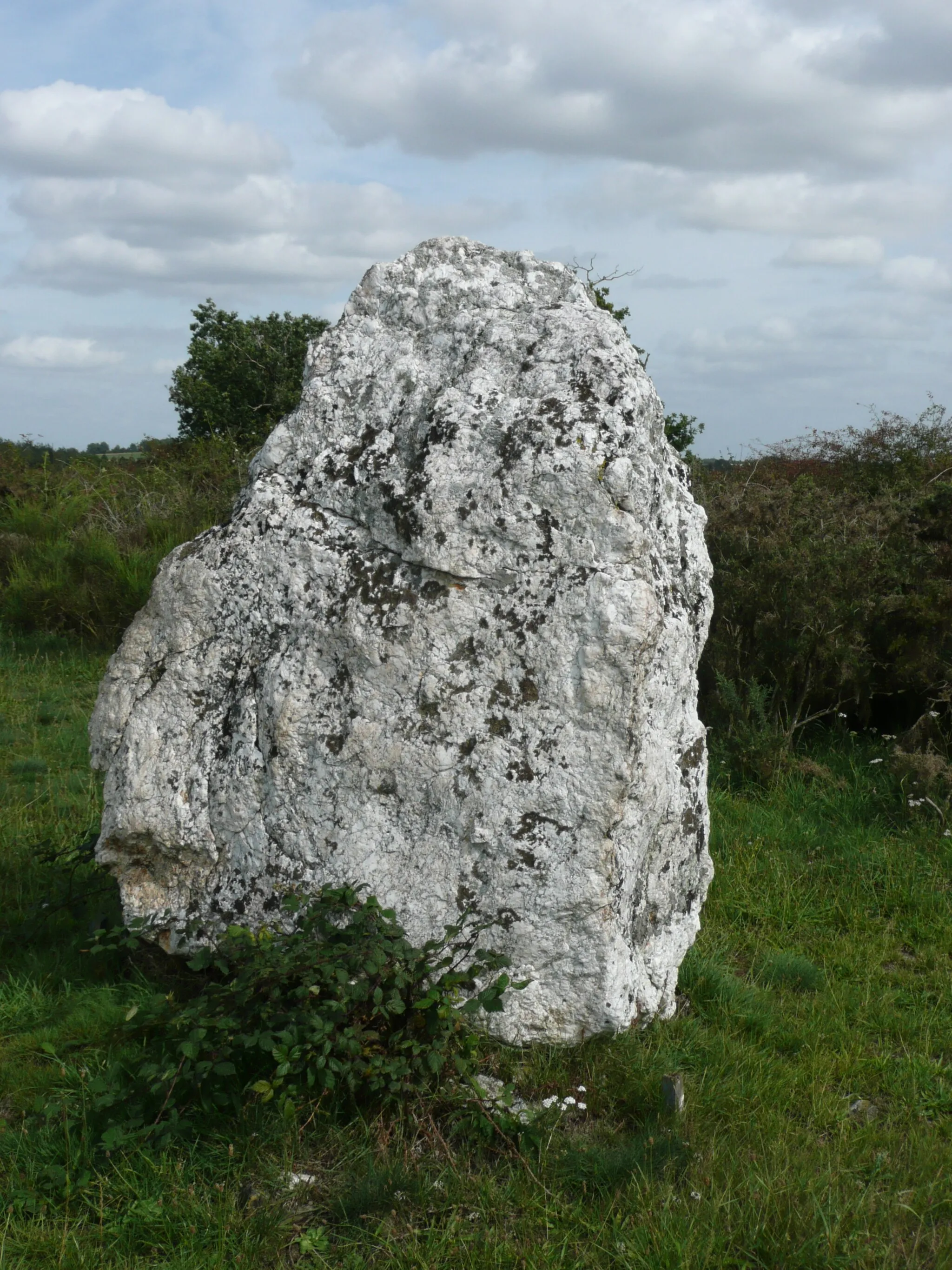 Photo showing: Alignement mégalithique de Freigné