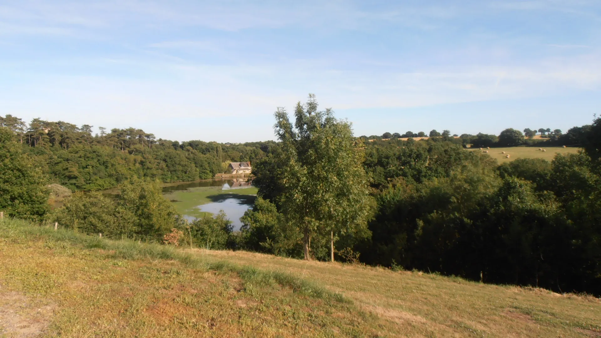 Photo showing: La campagne de Villemoisan (Maine-et-Loire, France) en direction de Champtocé.