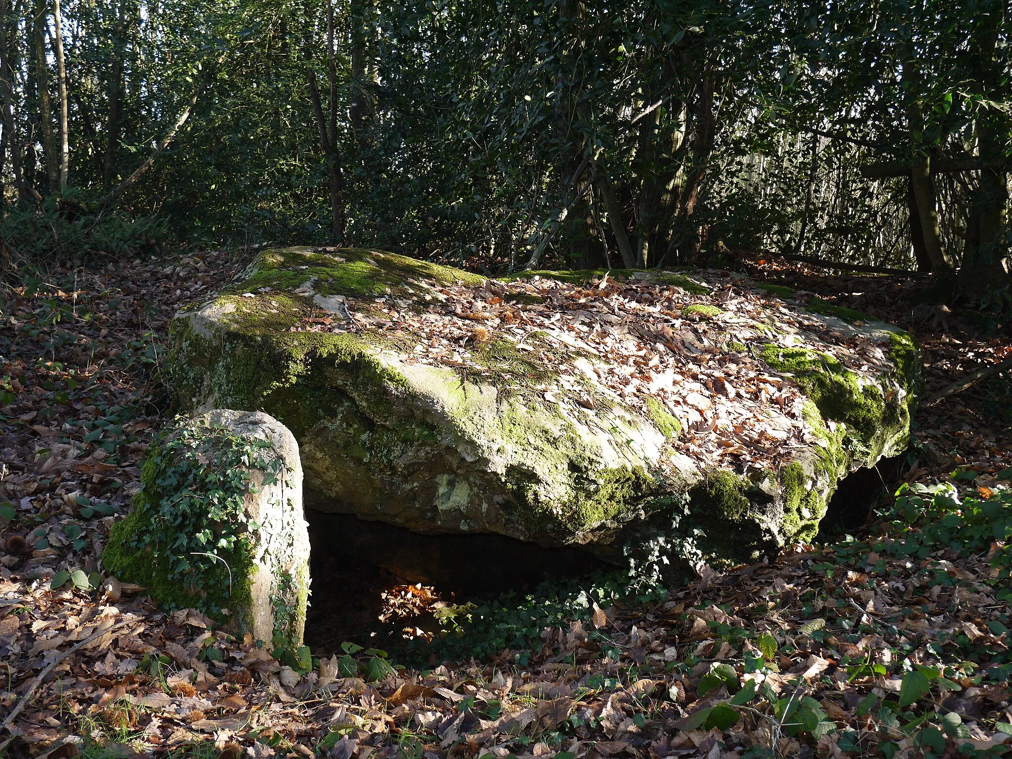 Photo showing: Dolmen de La Ferrière-de-Flée - panneau explicatif