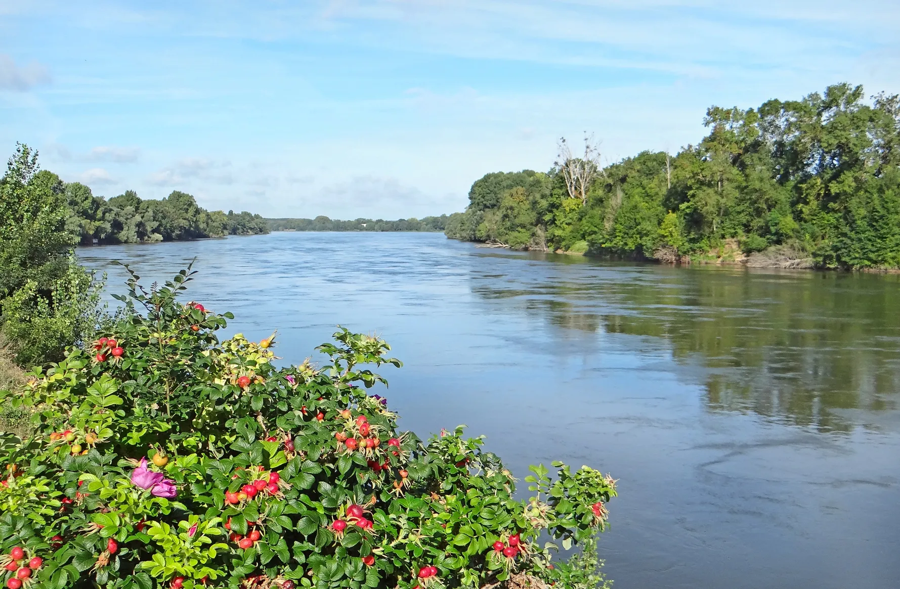 Photo showing: A droite, l'île aux chevaux car on ne voit qu'un bras de la Loire à cet endroit de la levée ligérienne.

Saint-Jean-de-la-Croix est au sud d'Angers. Un peu plus loin, se trouve la confluence avec la rivière Maine.