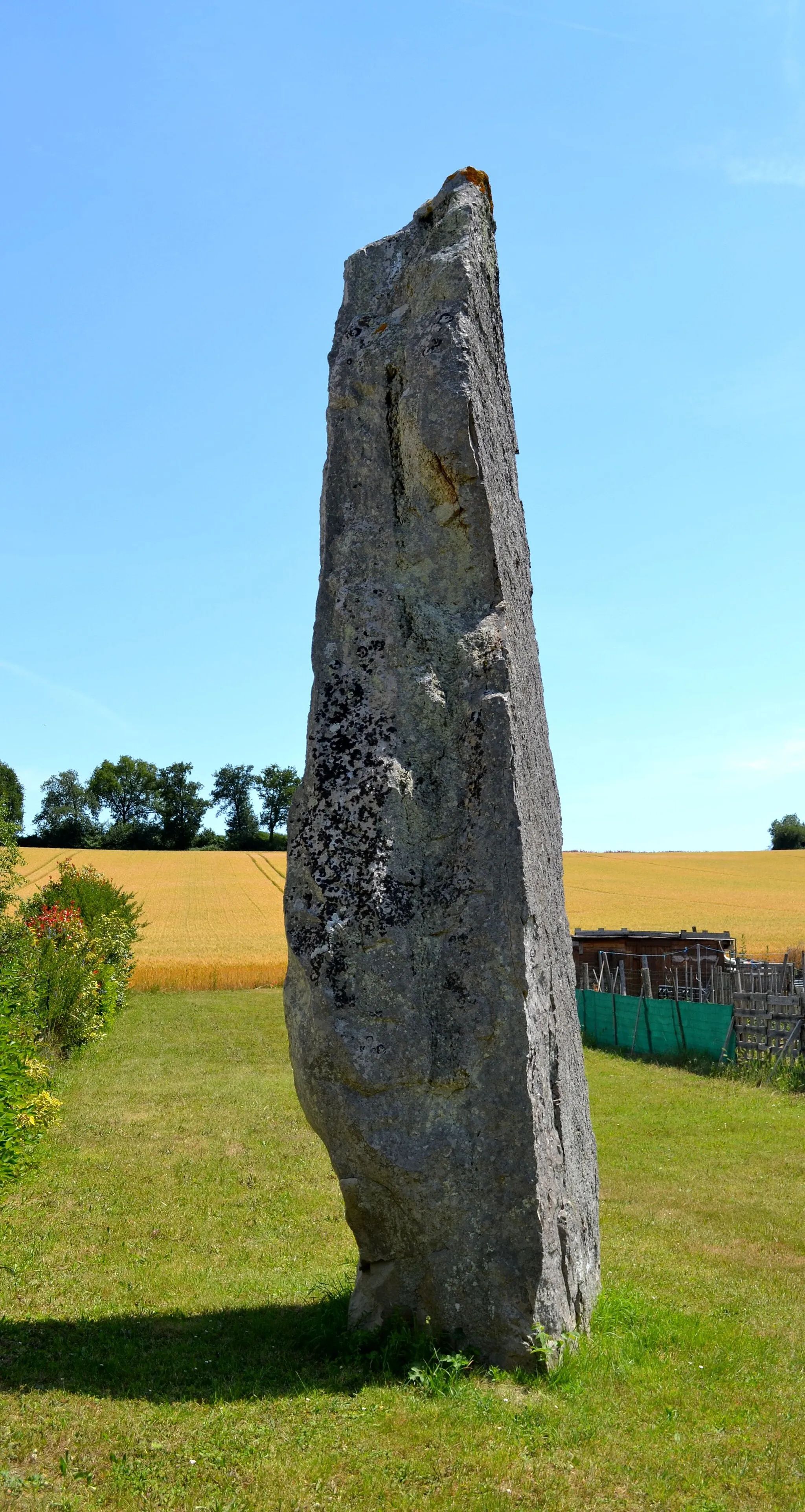 Photo showing: Menhir de Nidevelle à Saint-Georges-des-Sept-Voies (49).