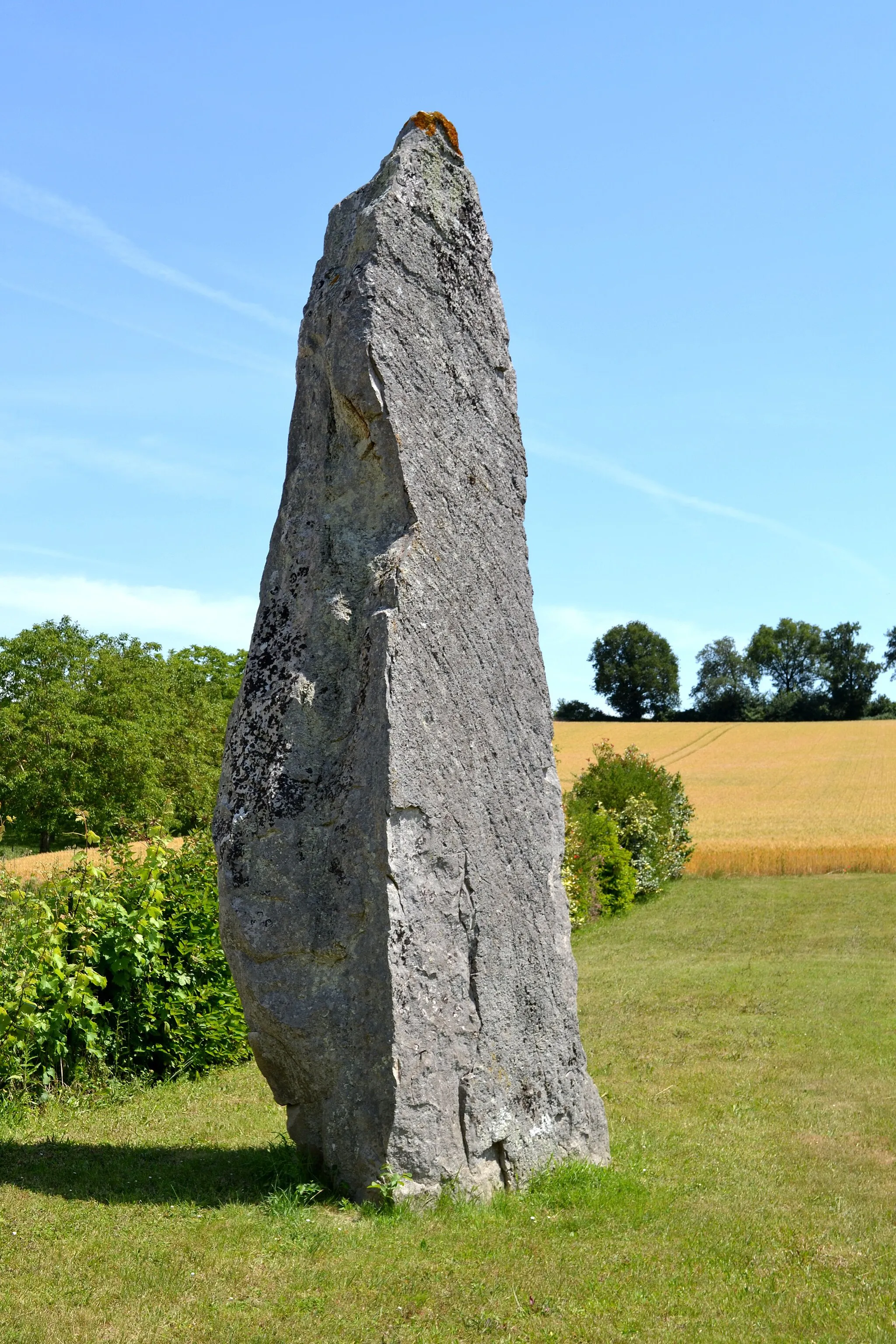 Photo showing: Menhir de Nidevelle à Saint-Georges-des-Sept-Voies (49).